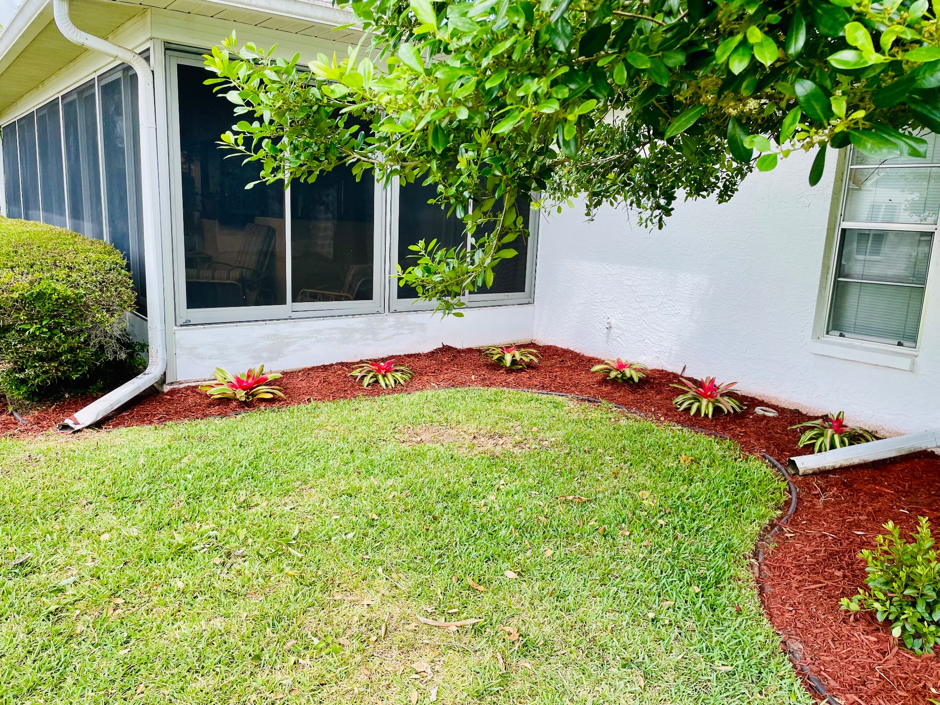 Elite Landscape and irrigation, Outdoor Landscaping and Design in Hudson, FL - photo 2