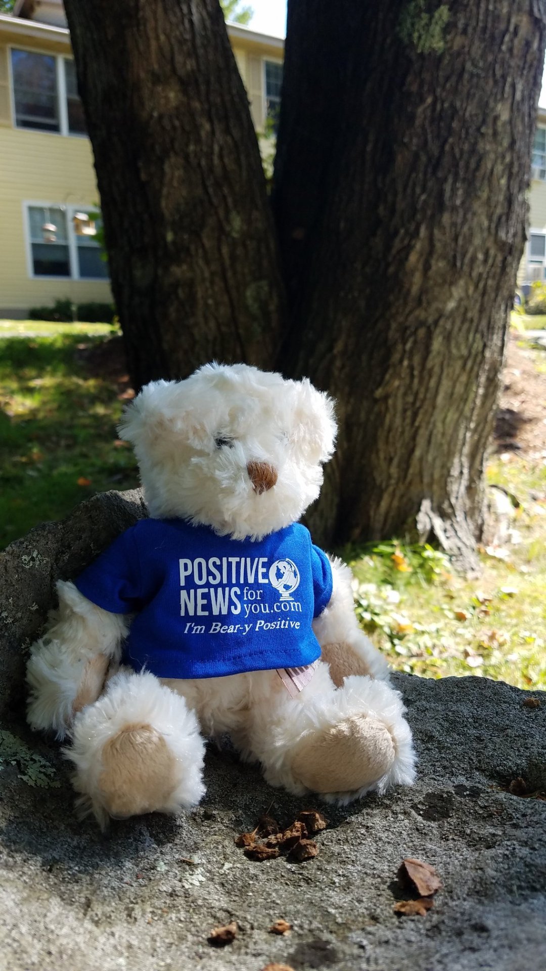 Positive News For You, News Outlets in Keene, NH - photo 3