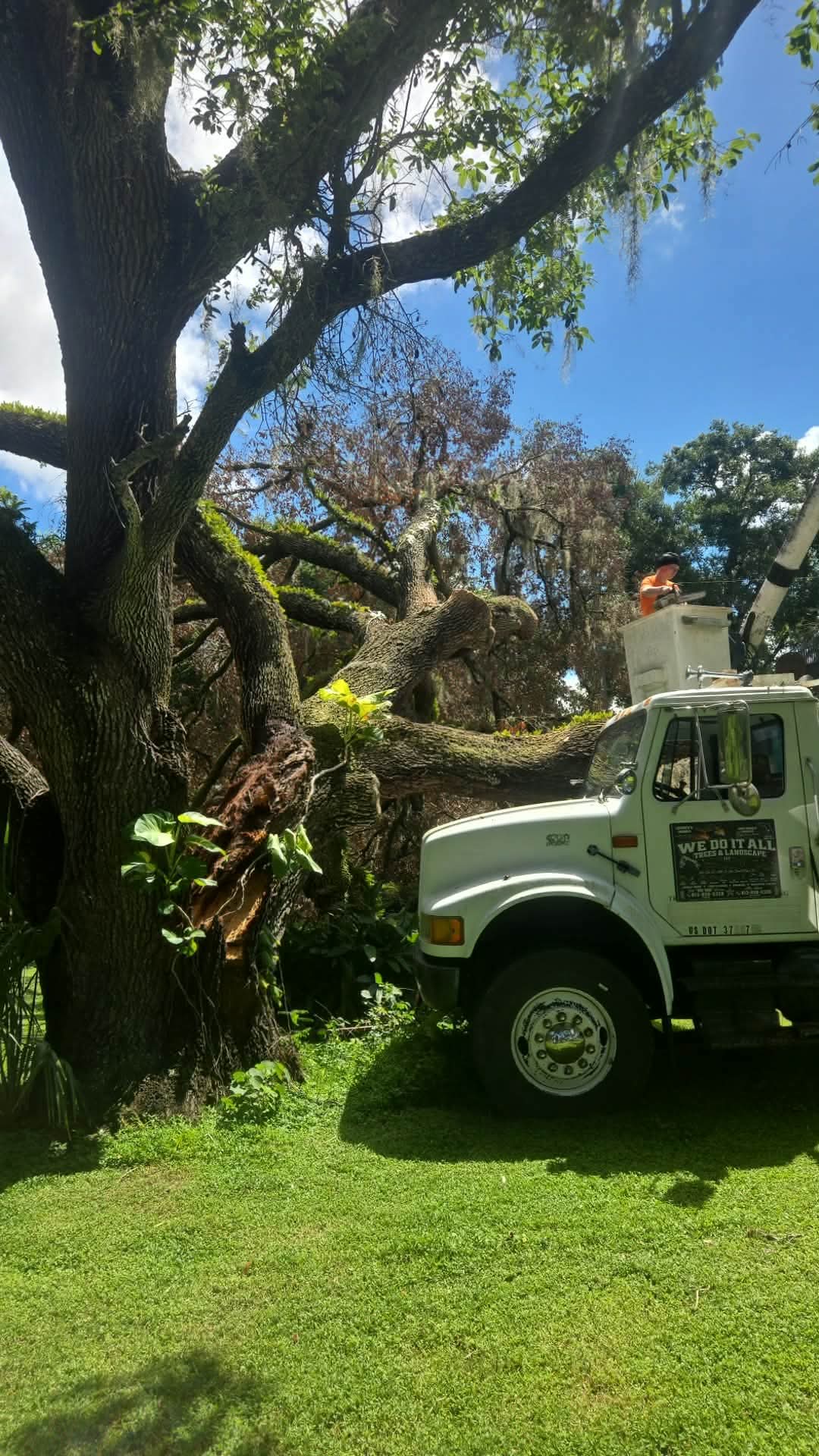 We Do It All Trees and Landscape LLC, Artificial Turf Installation in Lakeland, FL - photo 1