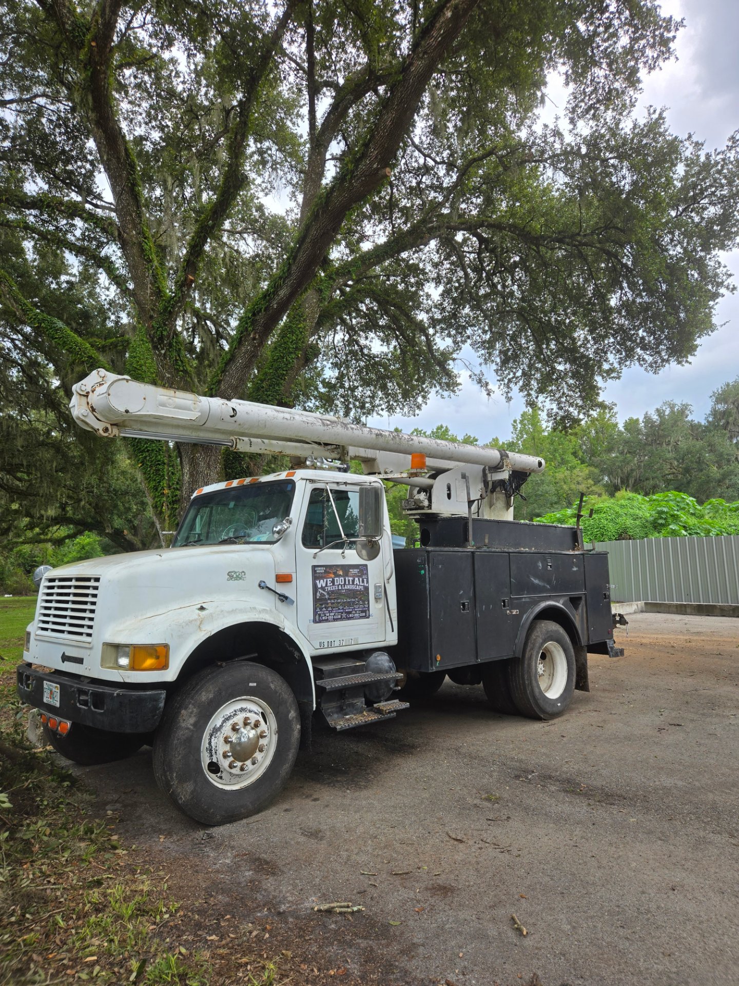 We Do It All Trees and Landscape LLC, Artificial Turf Installation in Lakeland, FL - photo 2