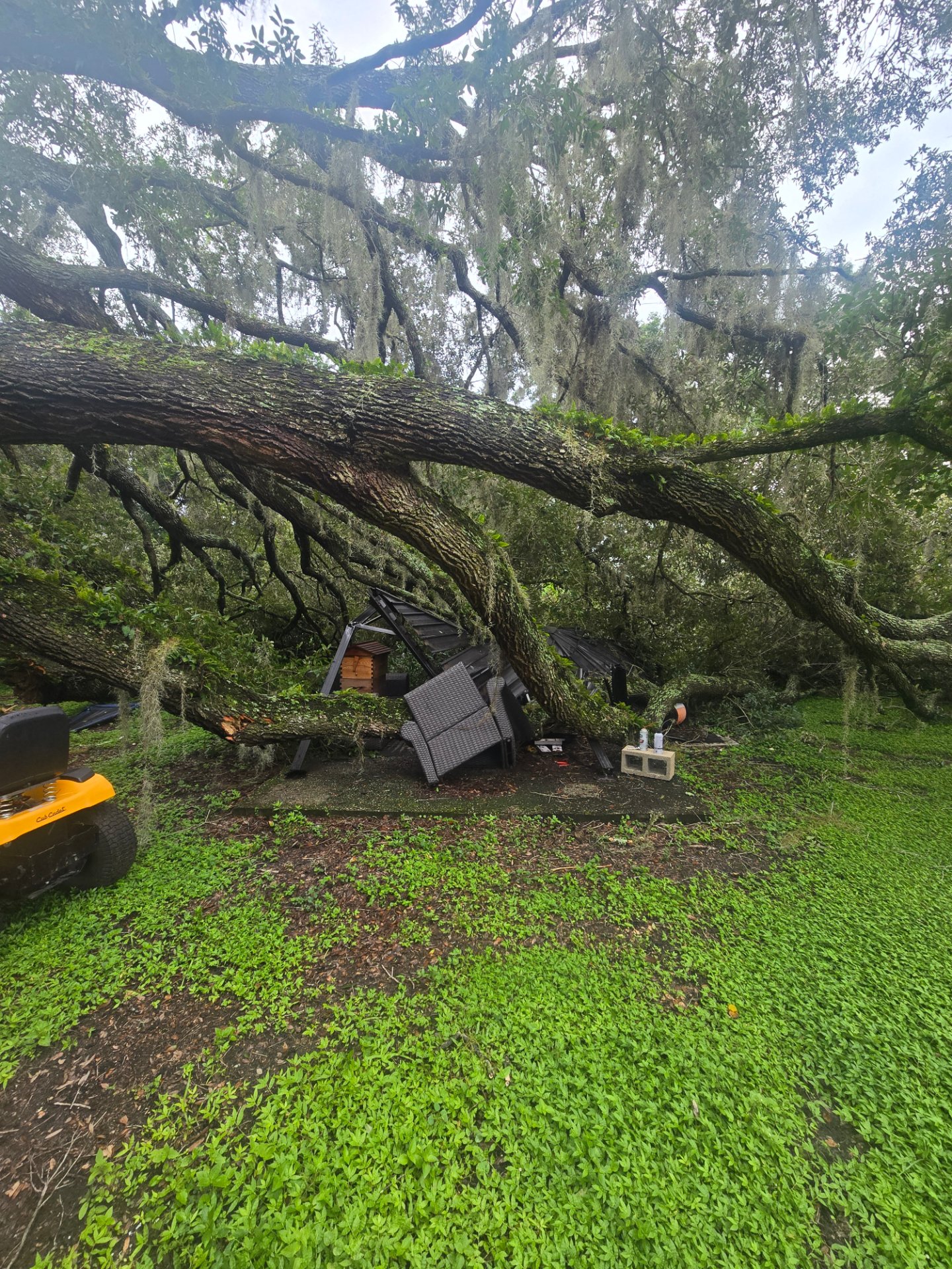 We Do It All Trees and Landscape LLC, Artificial Turf Installation in Lakeland, FL - photo 3