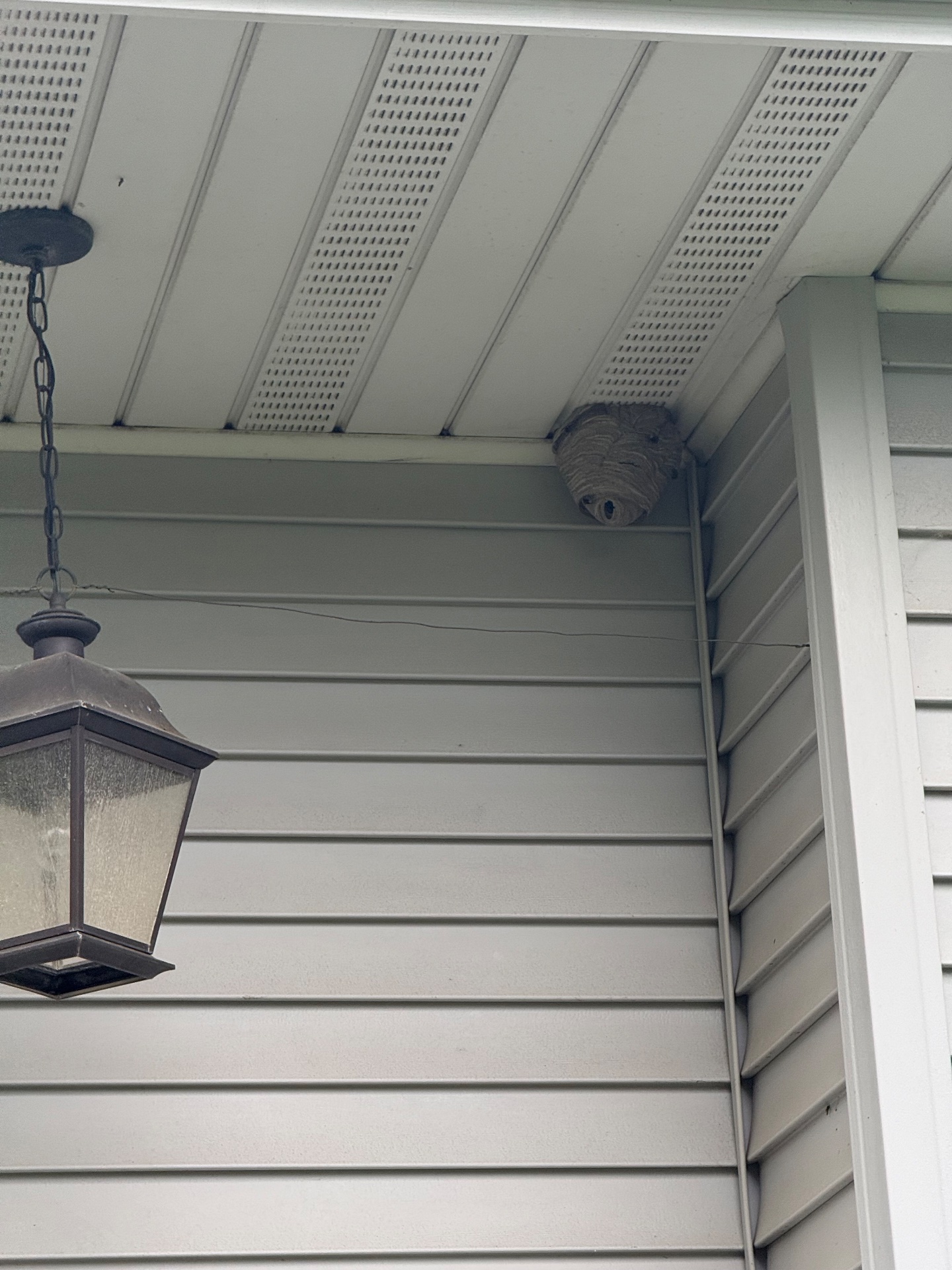 Genesis Termite And Pest Control, Pest Control Services in New Holland, PA - photo 1
