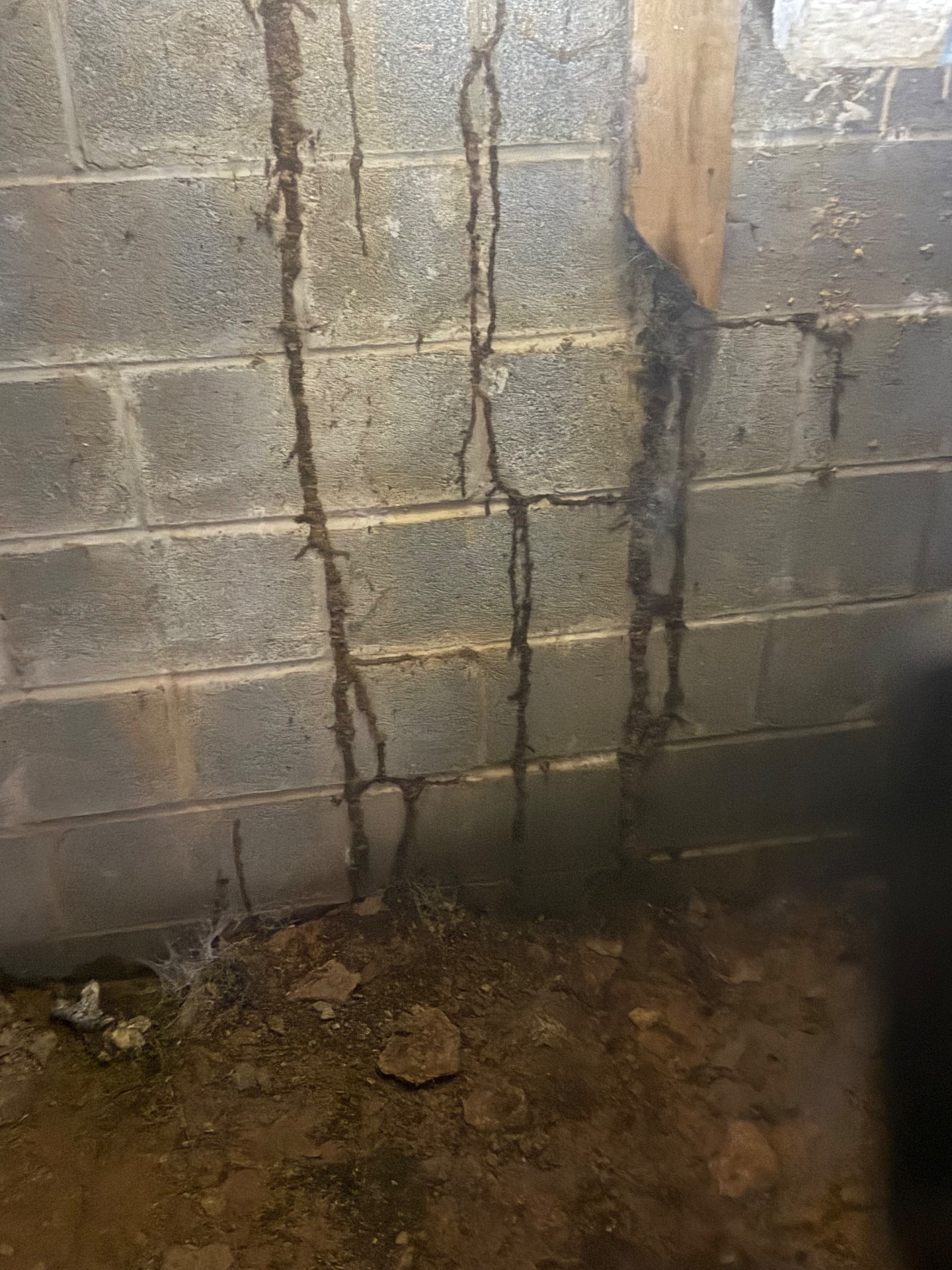 Genesis Termite And Pest Control, Pest Control Services in New Holland, PA - photo 3