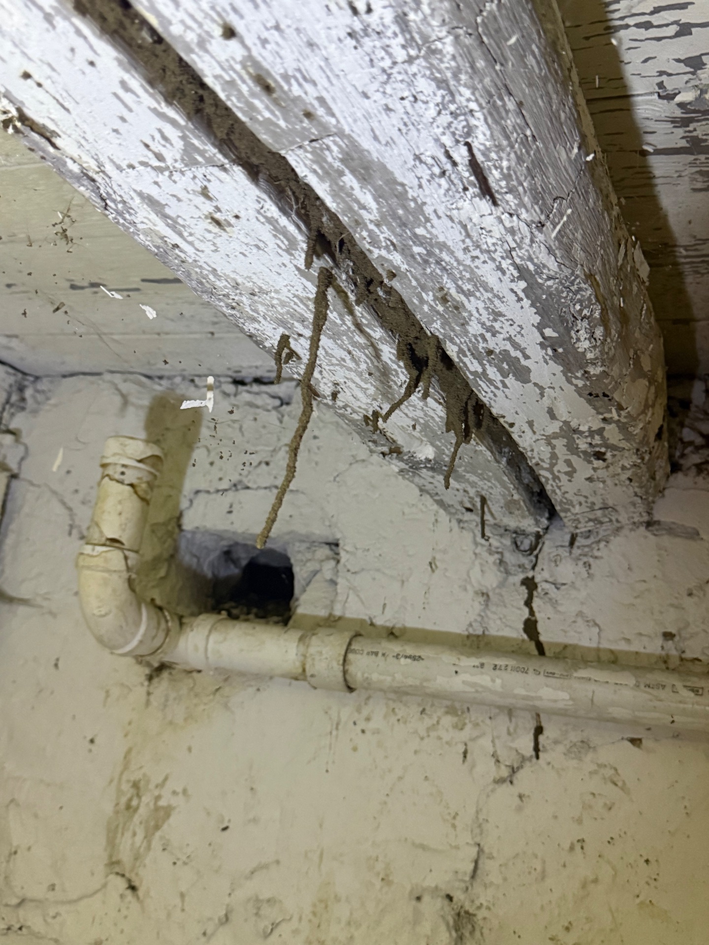 Genesis Termite And Pest Control, Pest Control Services in New Holland, PA - photo 4