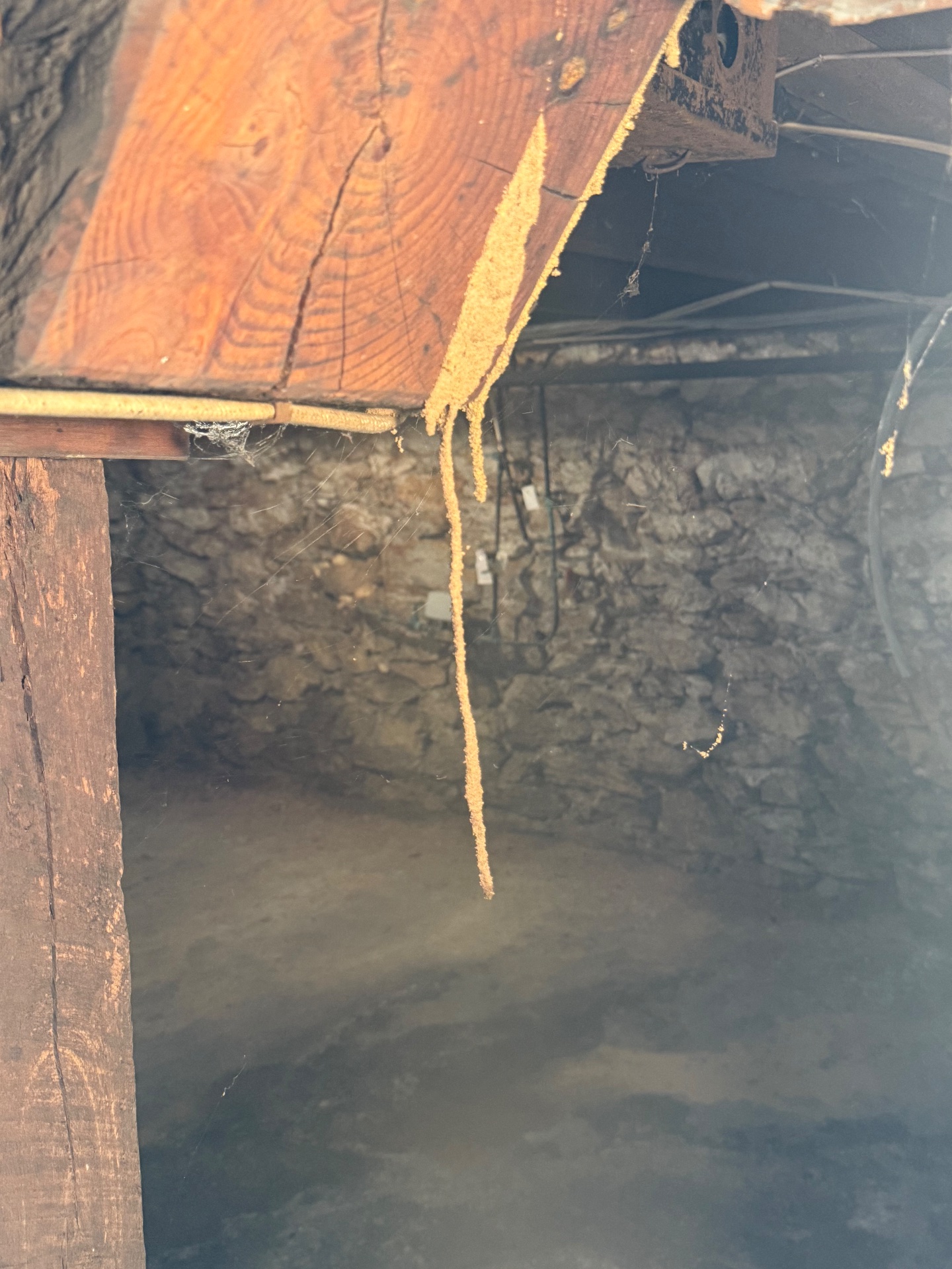 Genesis Termite And Pest Control, Pest Control Services in New Holland, PA - photo 6