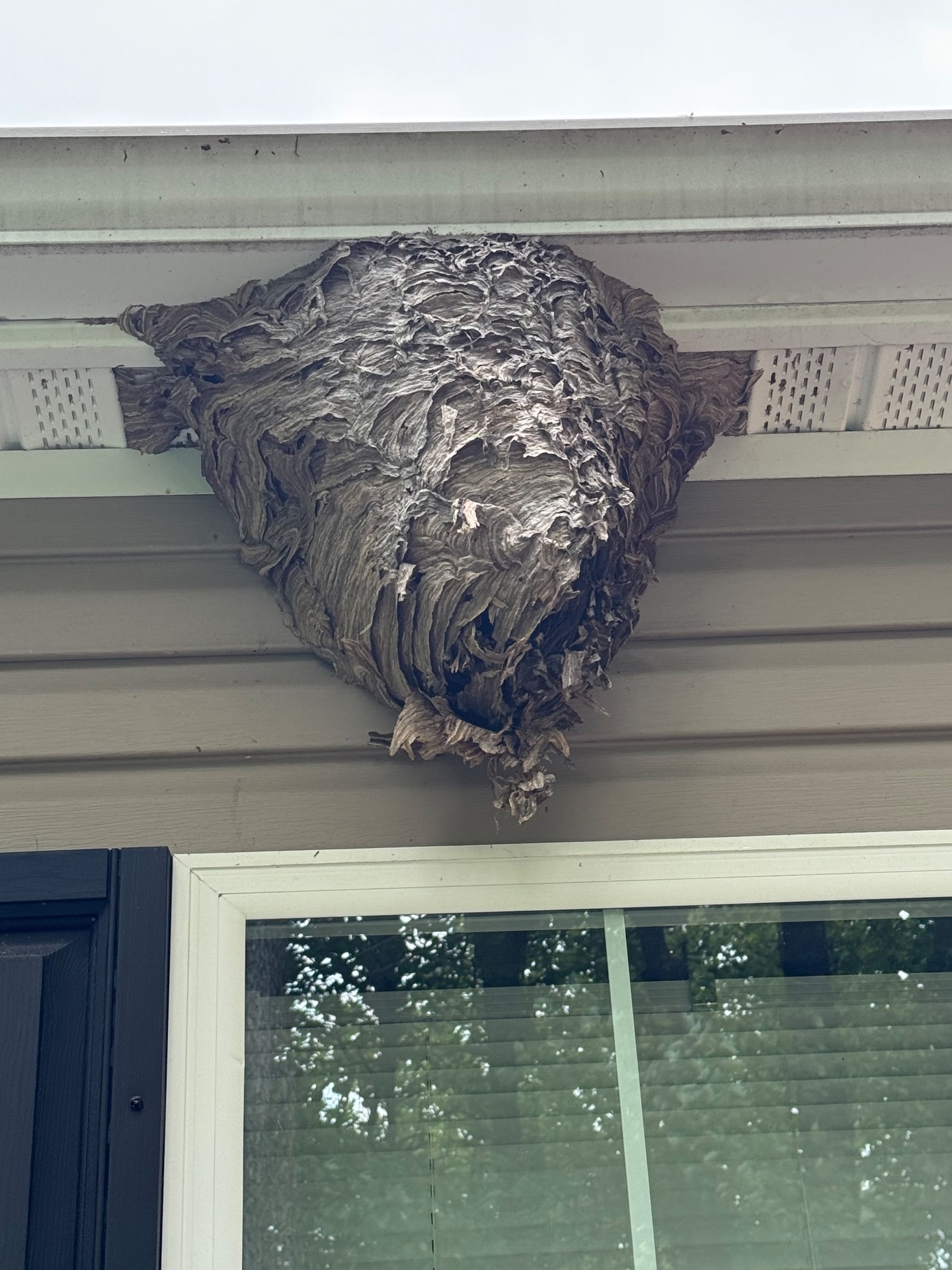 Genesis Termite And Pest Control, Pest Control Services in New Holland, PA - photo 7