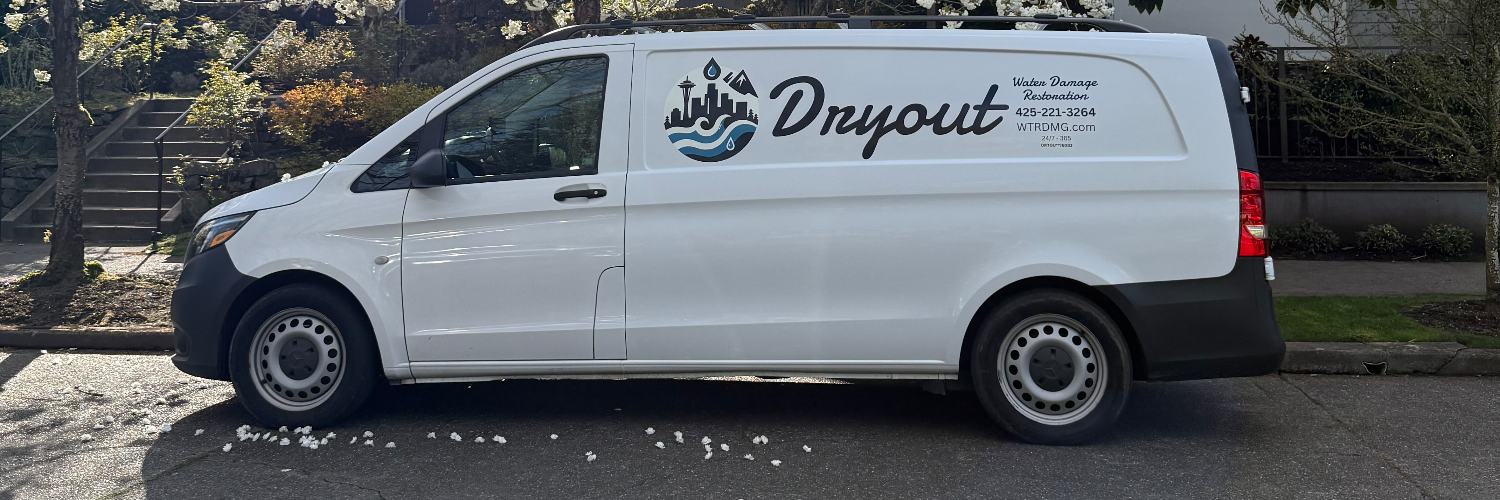 Dryout Water Damage Restoration cover photo