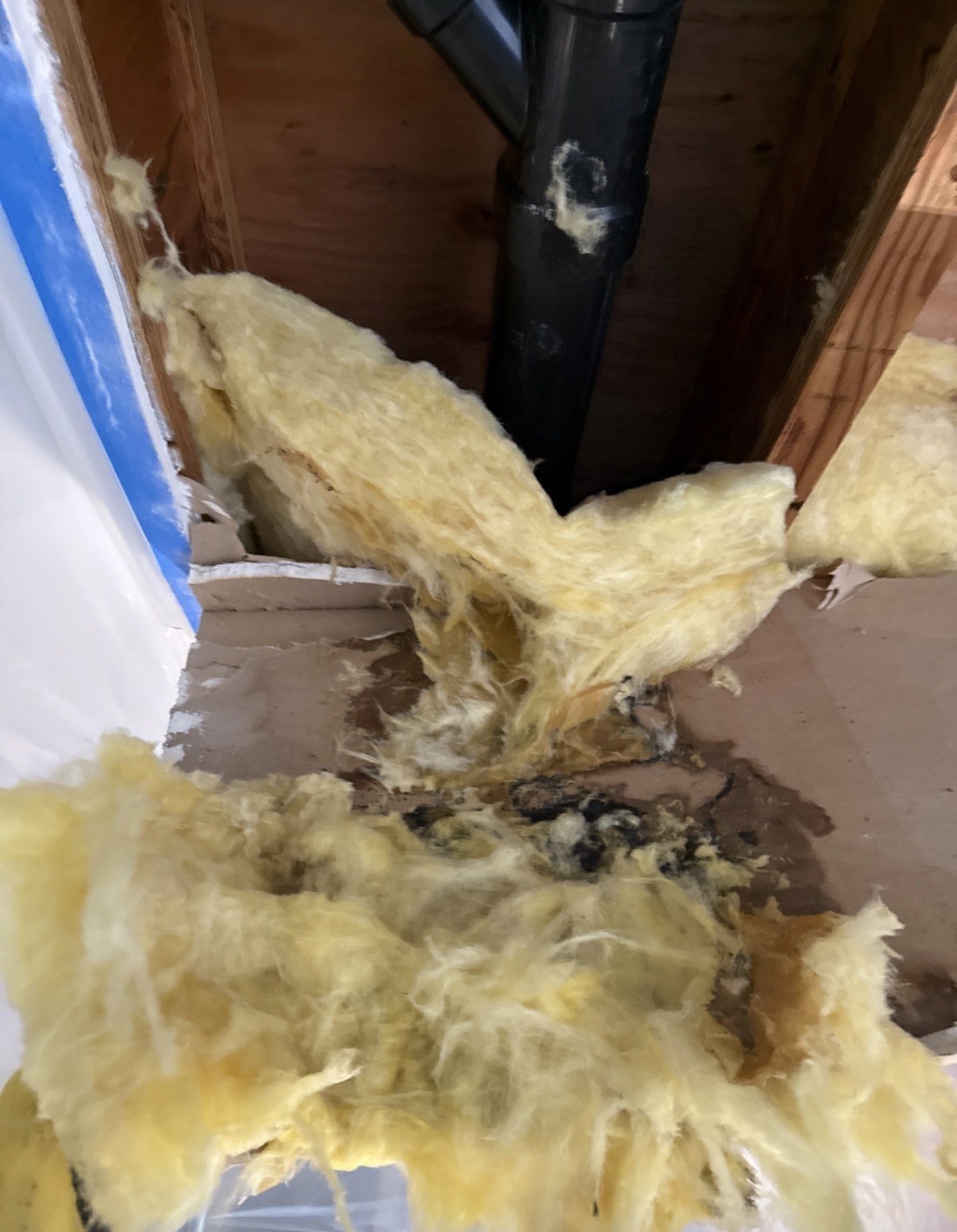 Dryout Water Damage Restoration, Water Damage Cleanup and Restoration in Monroe, WA - photo 5