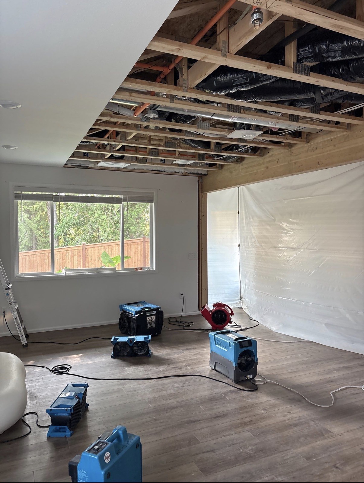 Dryout Water Damage Restoration, Water Damage Cleanup and Restoration in Monroe, WA - photo 2