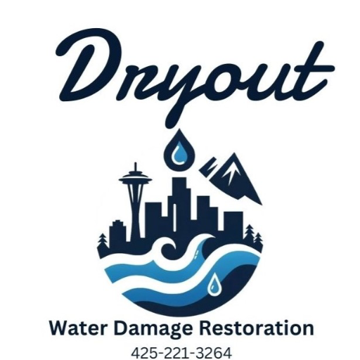 Dryout Water Damage Restoration