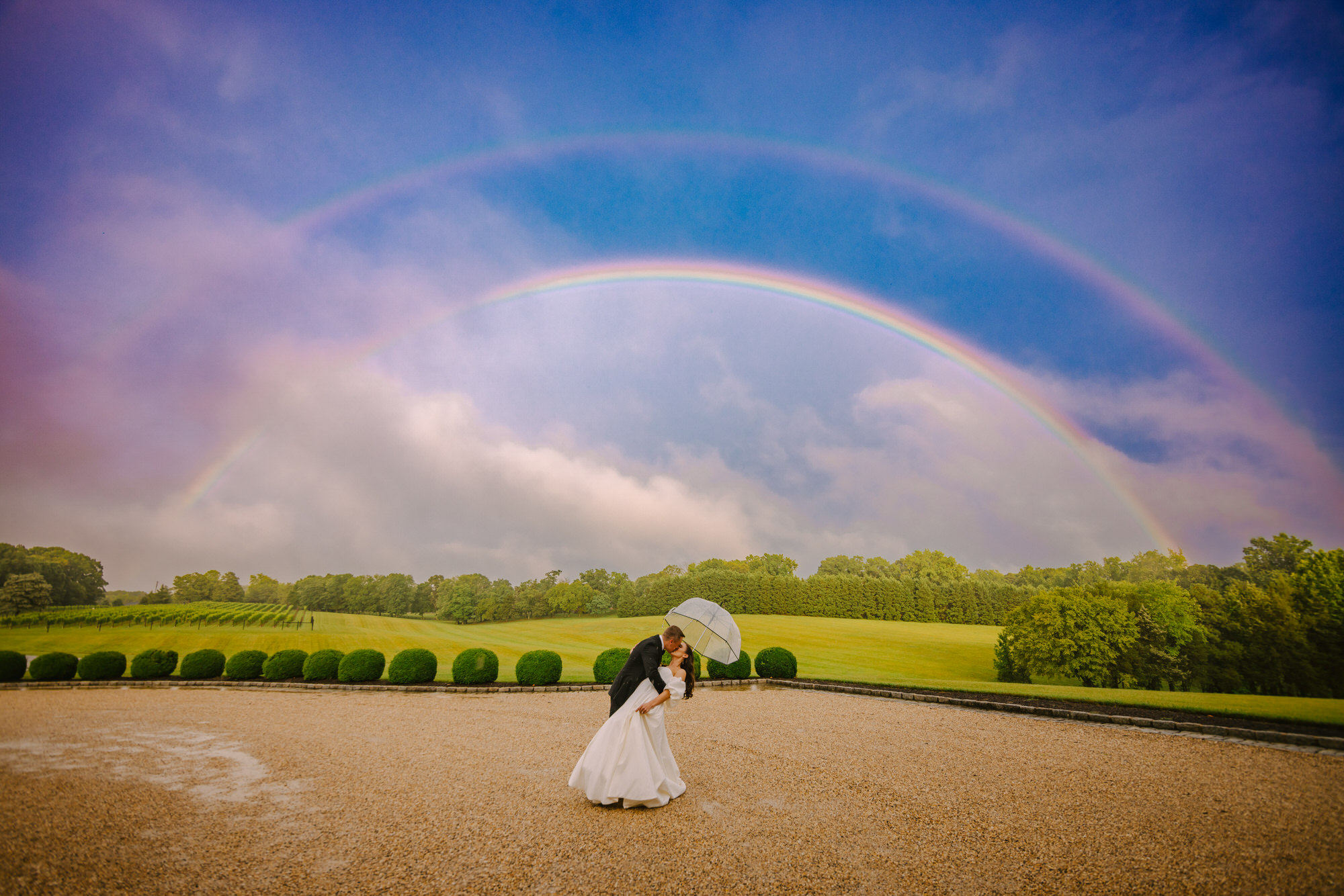 Amative Creative cover photo