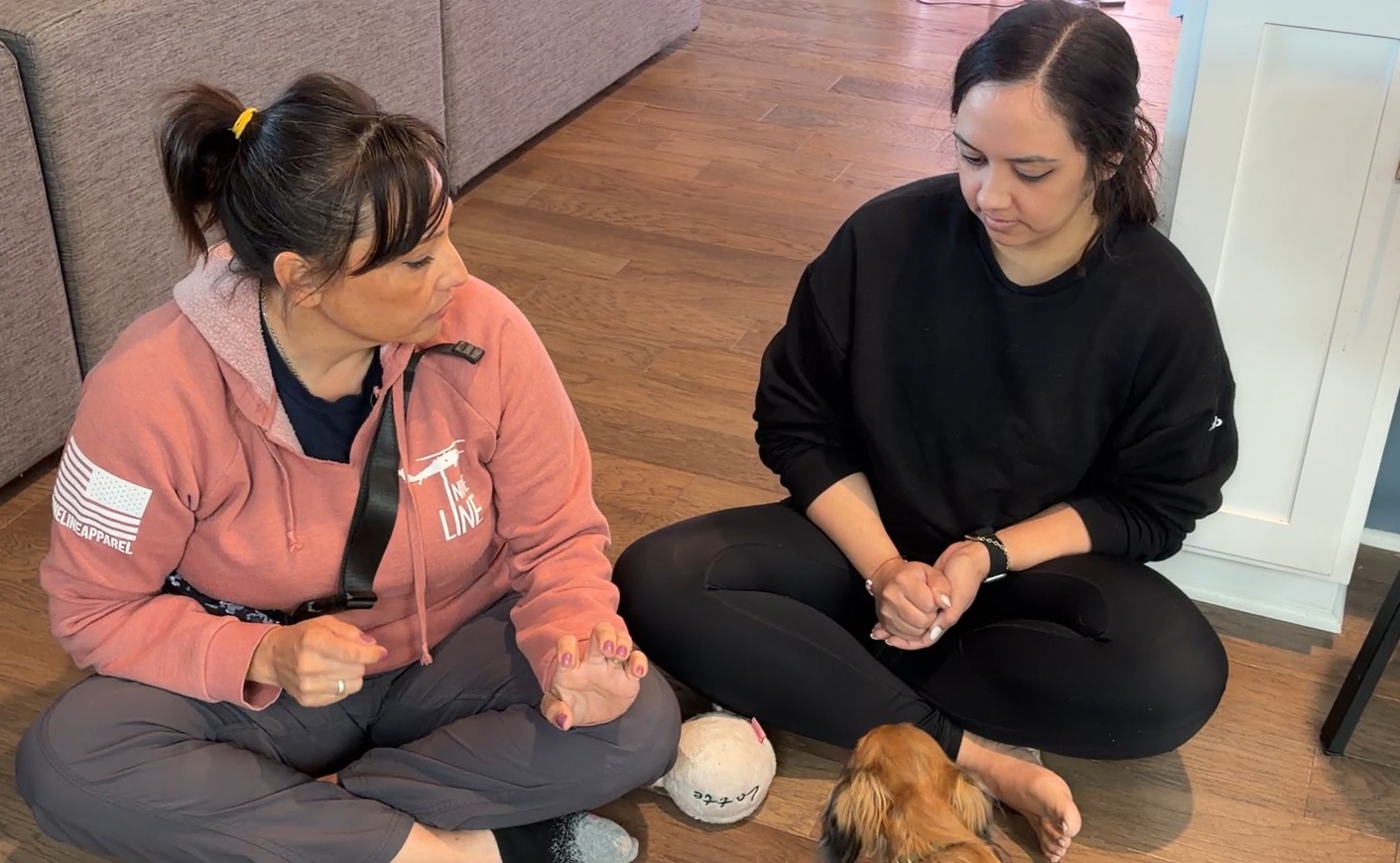 GTG K9 Solutions, Dog Training in Rockwall, TX - photo 2