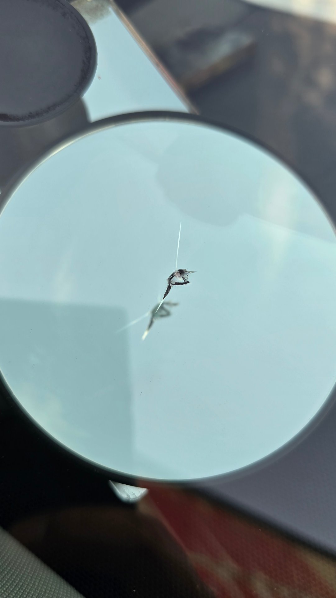 Direct Quality Auto Glass, ADAS Calibration in San Bernardino, CA - photo 4