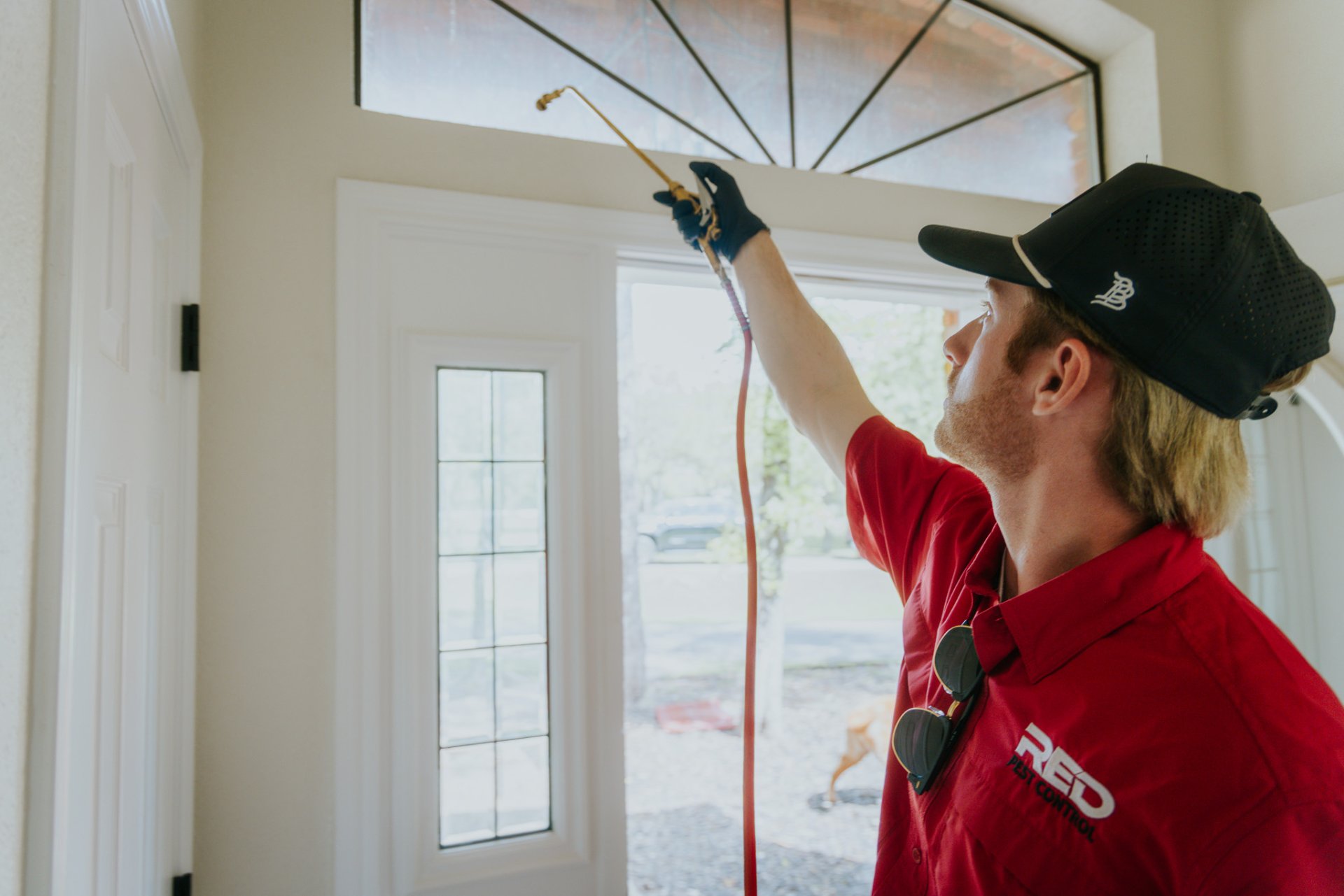 RED Pest Control, Pest Control Services in Fort Worth, TX - photo 4
