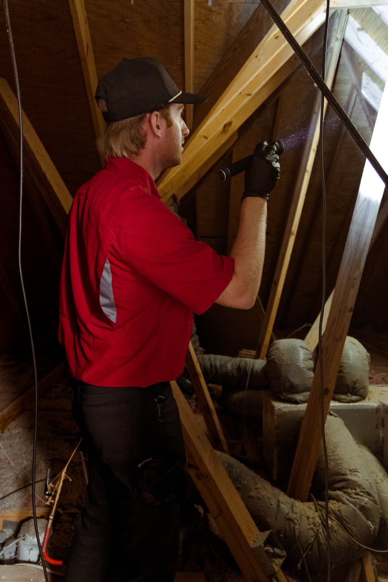 RED Pest Control, Pest Control Services in Fort Worth, TX - photo 6