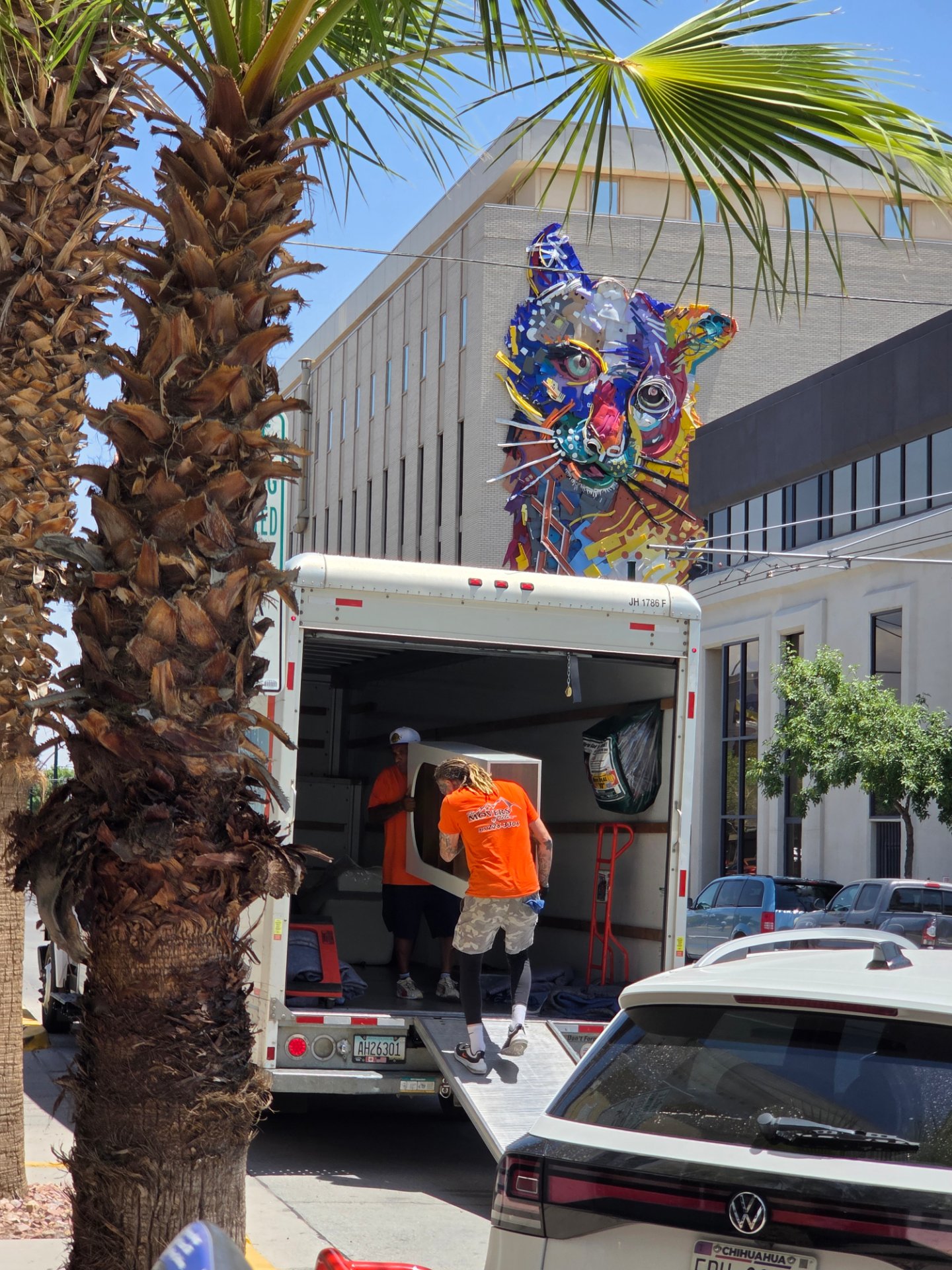 The Movers Of El Paso, Decluttering Services in El Paso, TX - photo 3