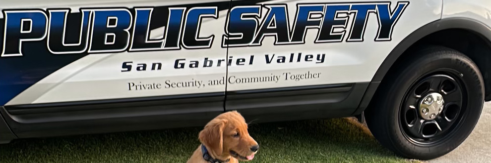 San Gabriel Valley Public Safety cover photo