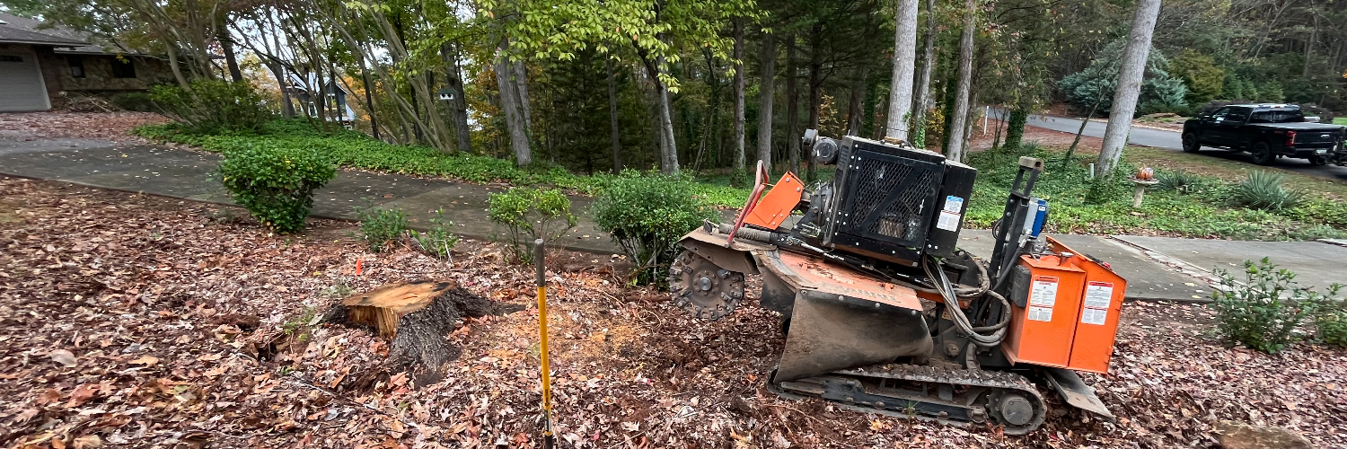 Grinder Stump Removal cover photo