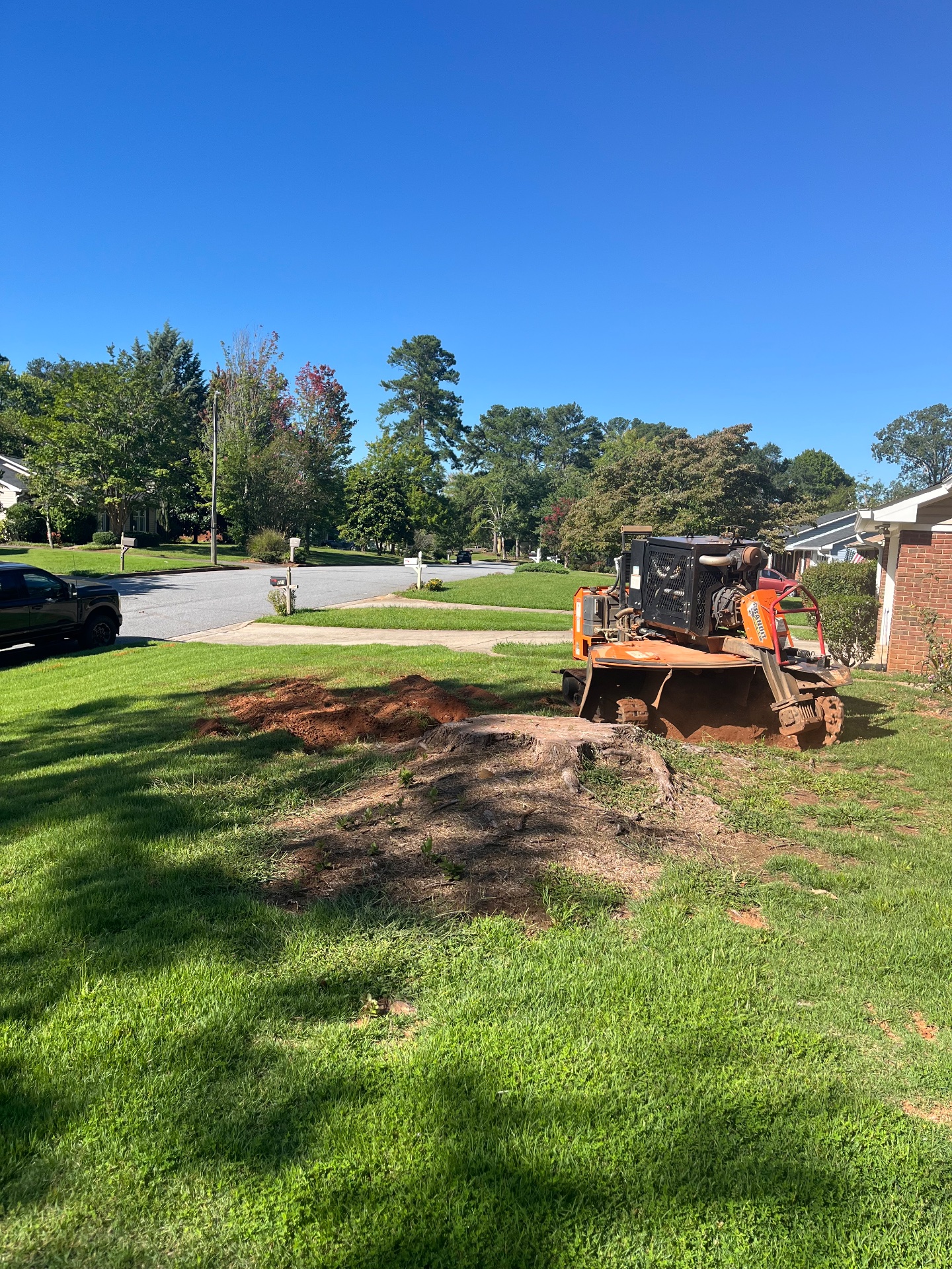 Grinder Stump Removal, Tree Stump Grinding and Removal in Lyman, SC - photo 1