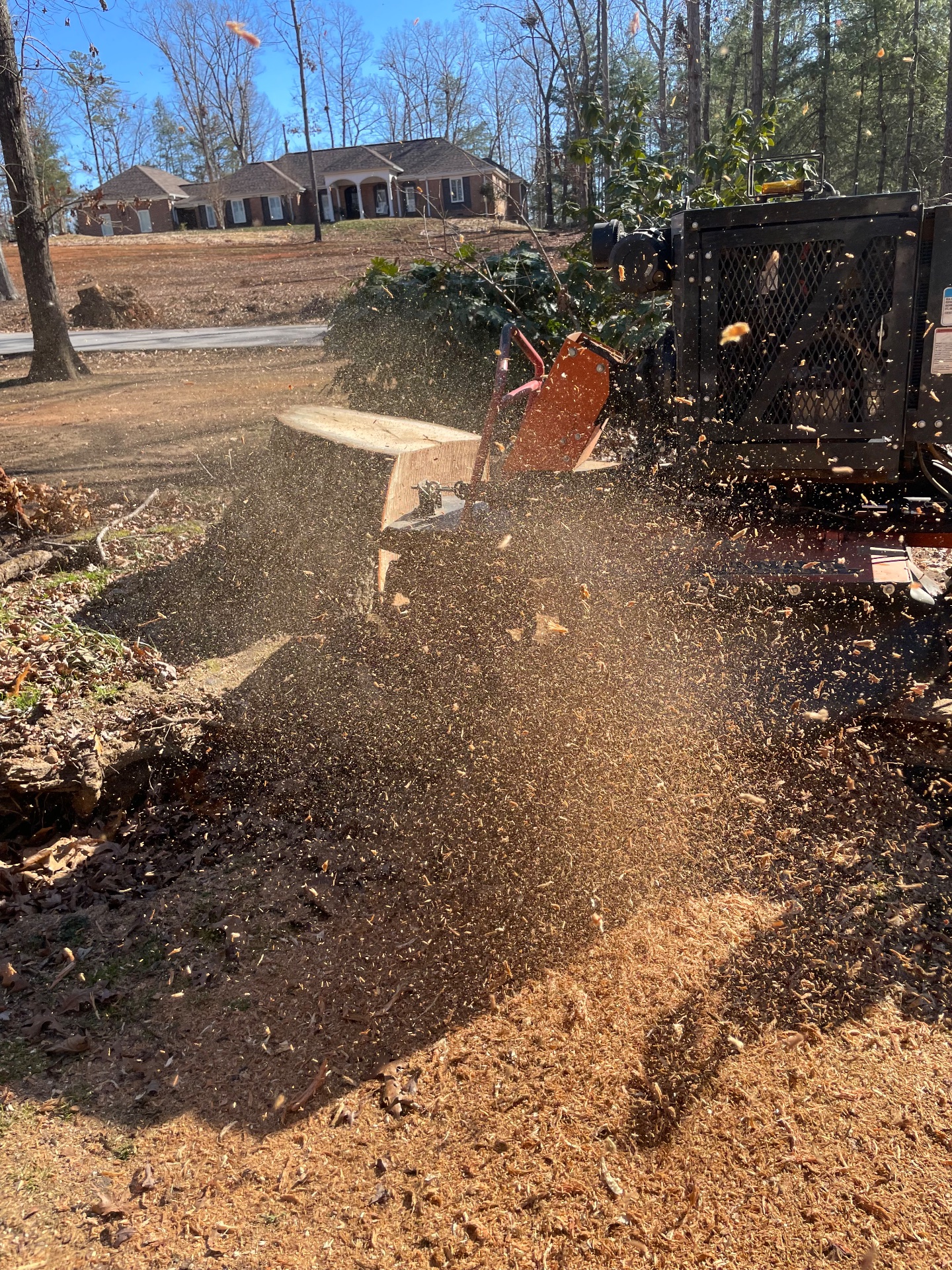 Grinder Stump Removal, Tree Stump Grinding and Removal in Lyman, SC - photo 5