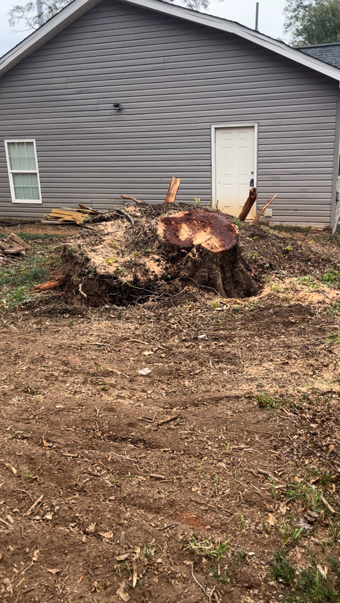 Grinder Stump Removal, Tree Stump Grinding and Removal in Lyman, SC - photo 8