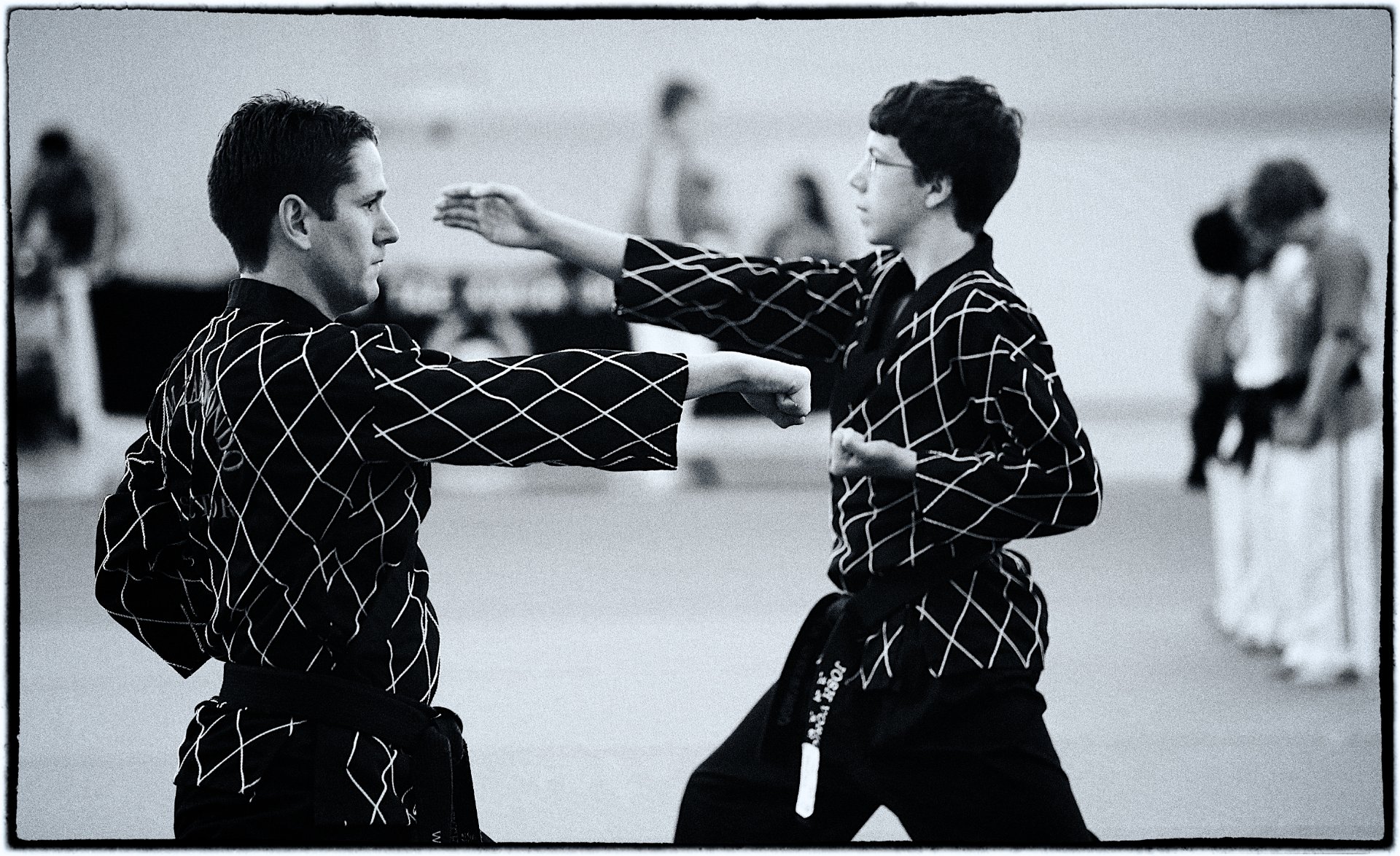 W. Kim Tae Kwon Do Mount Prospect, Martial Arts in Des Plaines, IL - photo 4