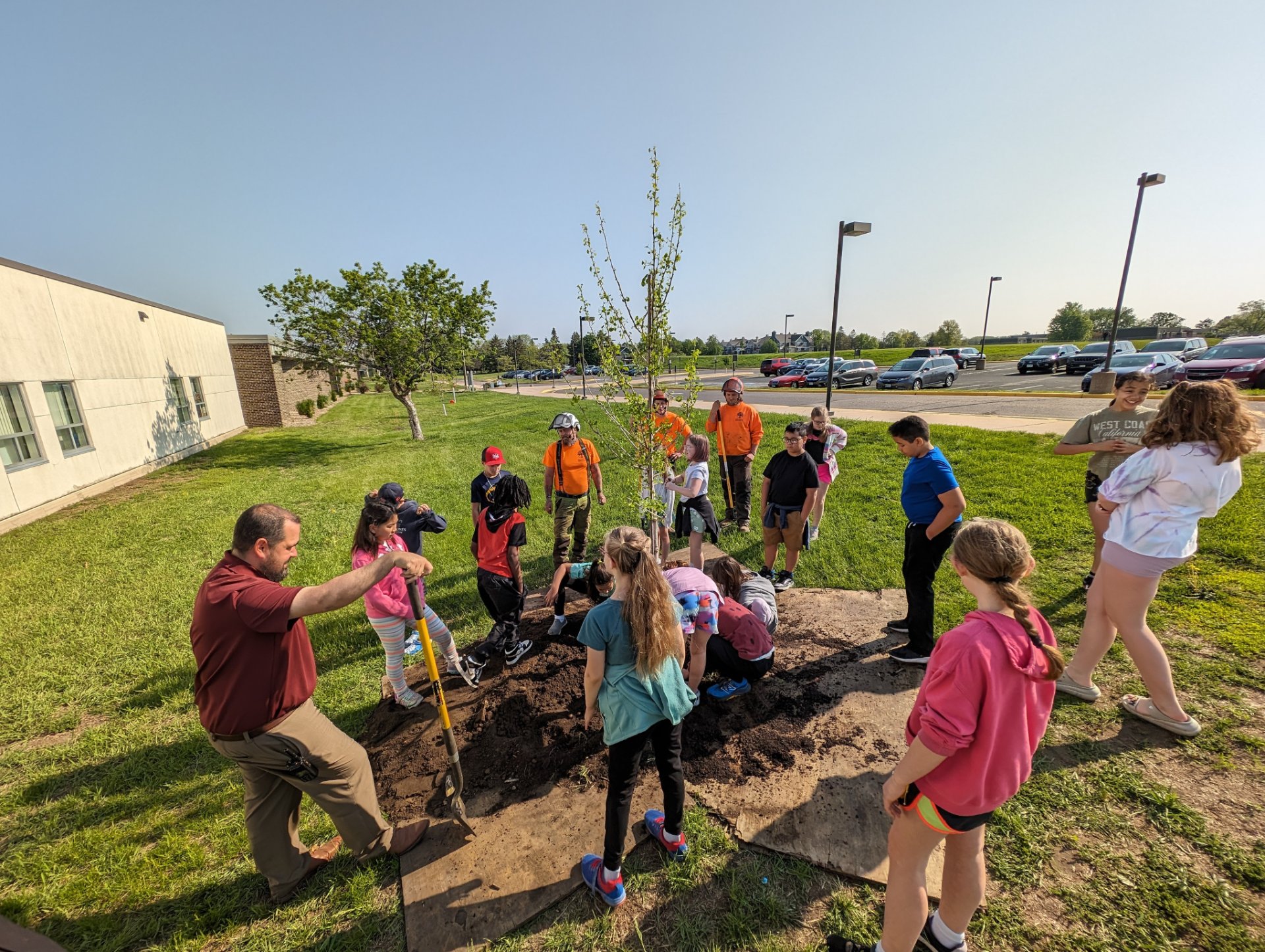 Alliance Tree Care Inc. - White Bear Lake, MN | LocateFaith