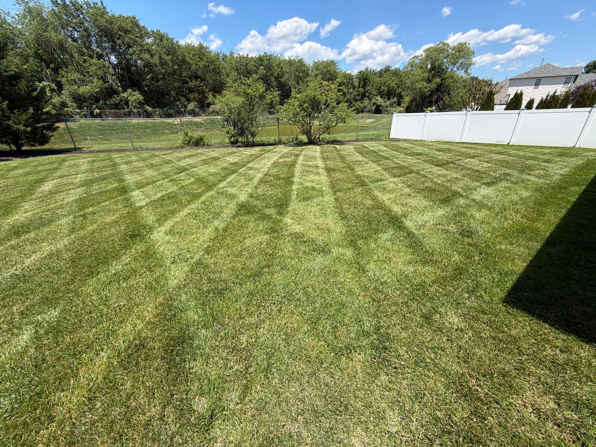 SPB Landscaping, Snow Removal in Williamstown, NJ - photo 8