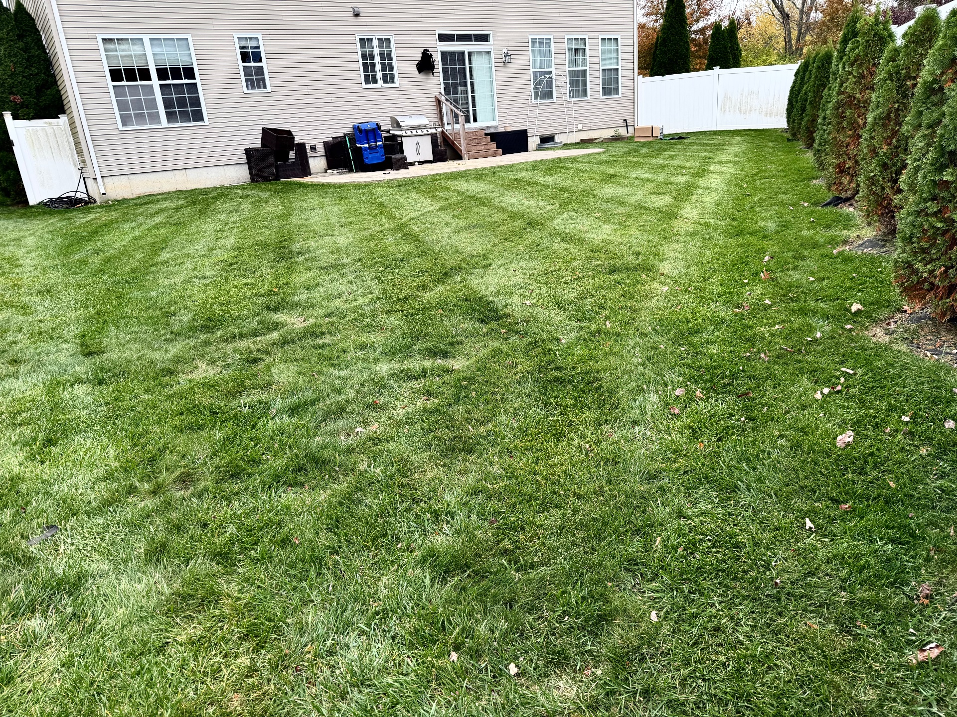 SPB Landscaping, Snow Removal in Williamstown, NJ - photo 6