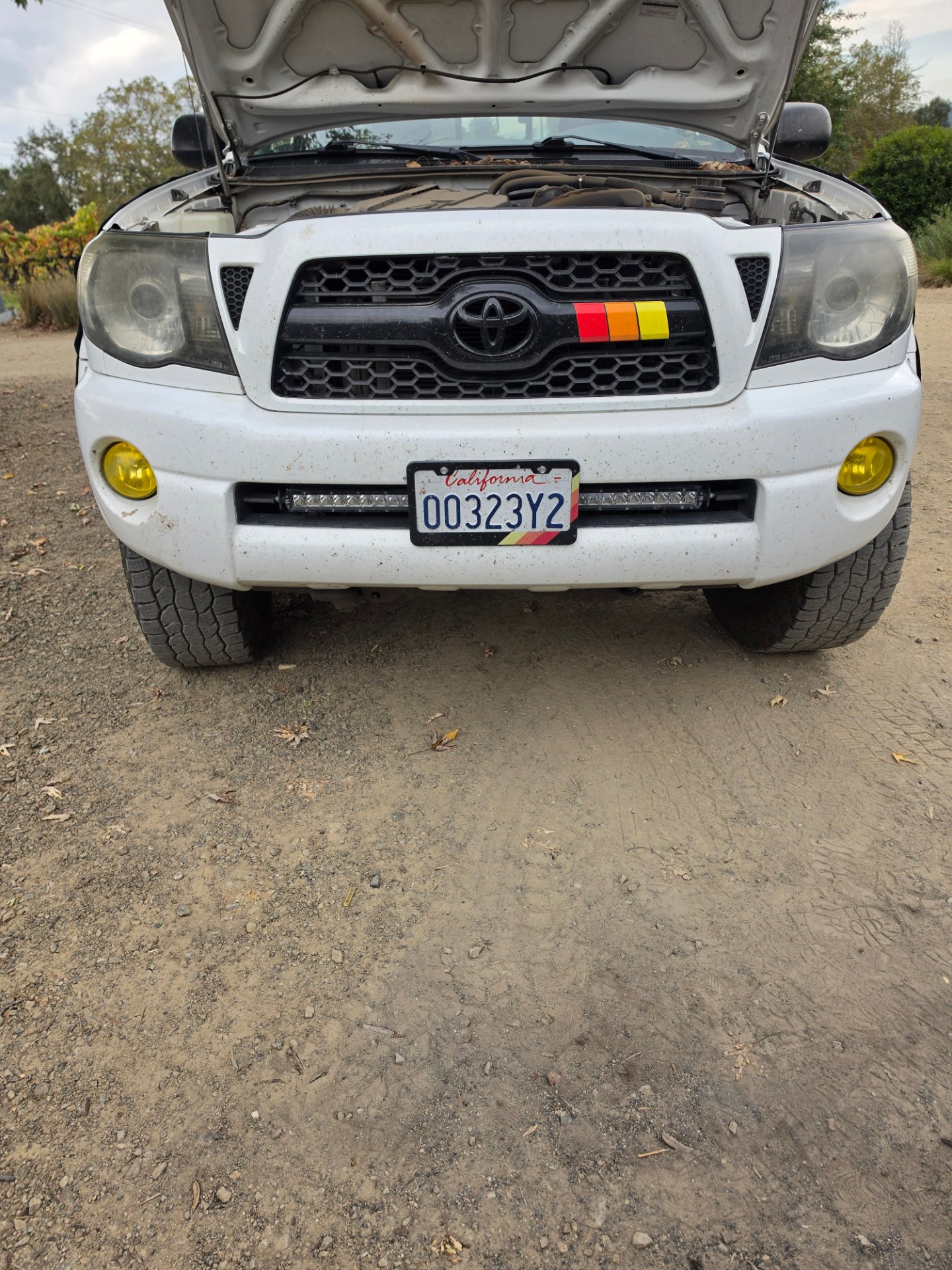 Cardwell's Mobile Headlight Restoration, Headlight Restoration in Santa Rosa, CA - photo 8