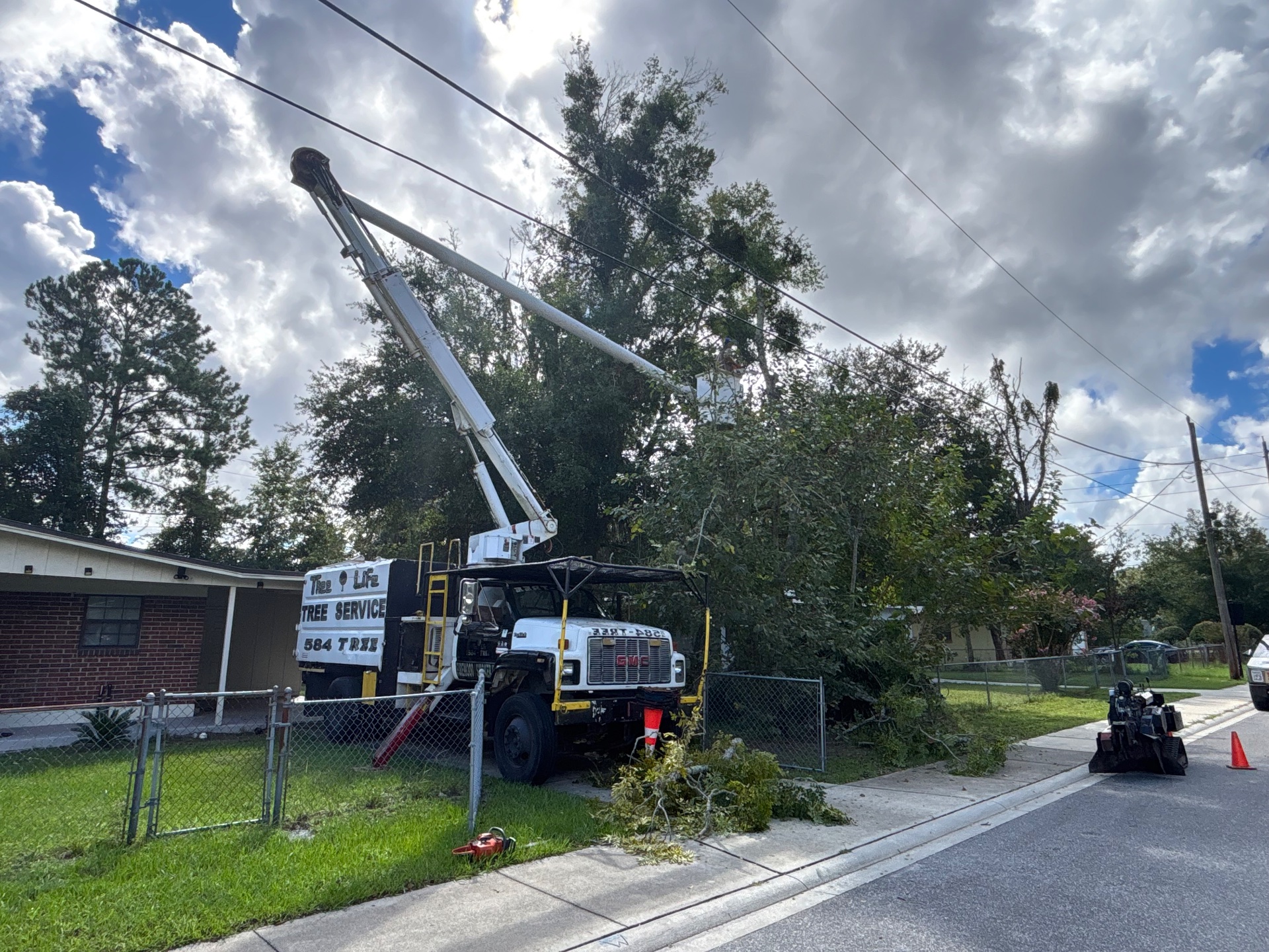 Tree Life 1 LLC, Tree Stump Grinding and Removal in Jacksonville, FL - photo 3