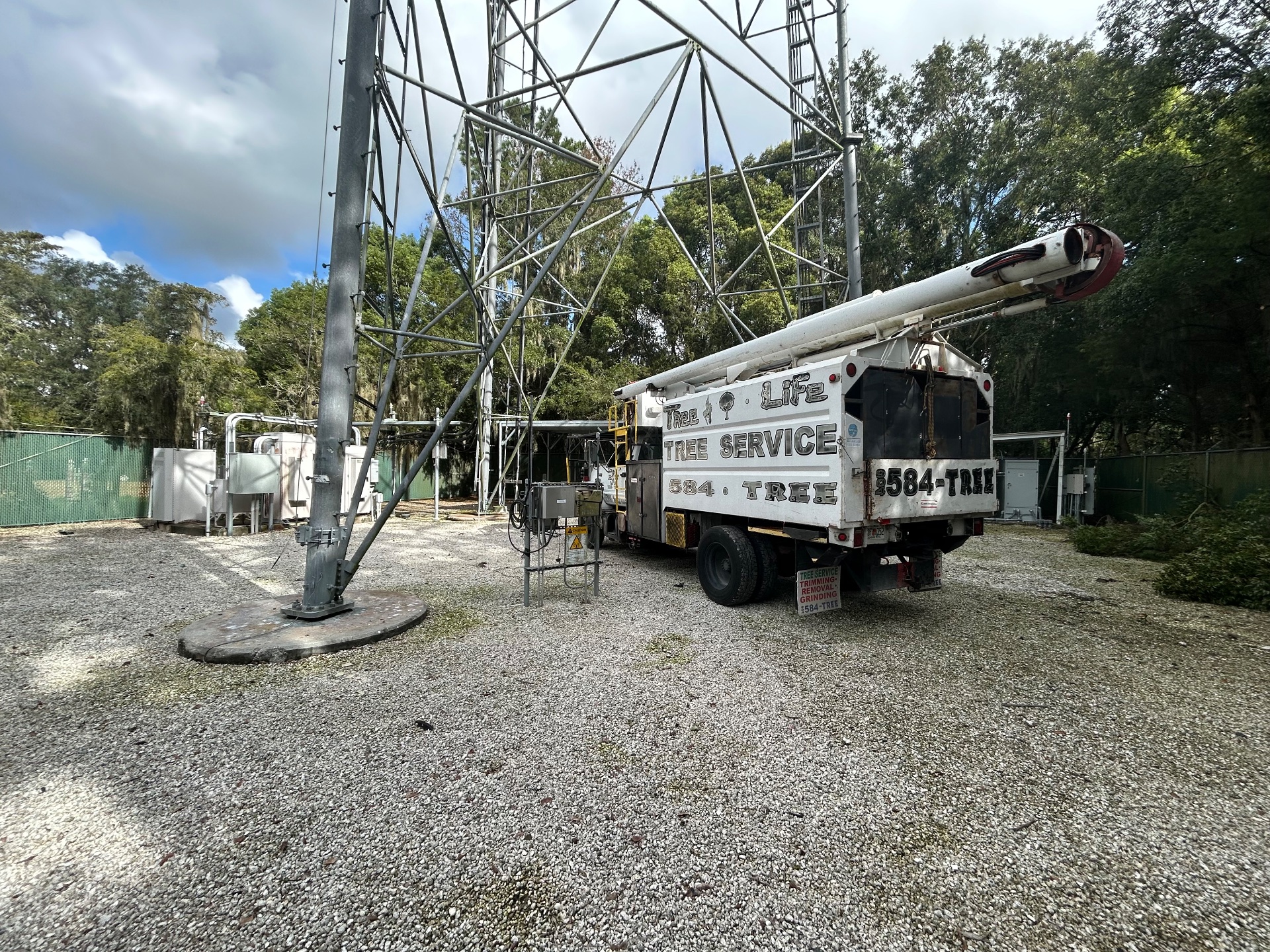 Tree Life 1 LLC, Tree Stump Grinding and Removal in Jacksonville, FL - photo 4