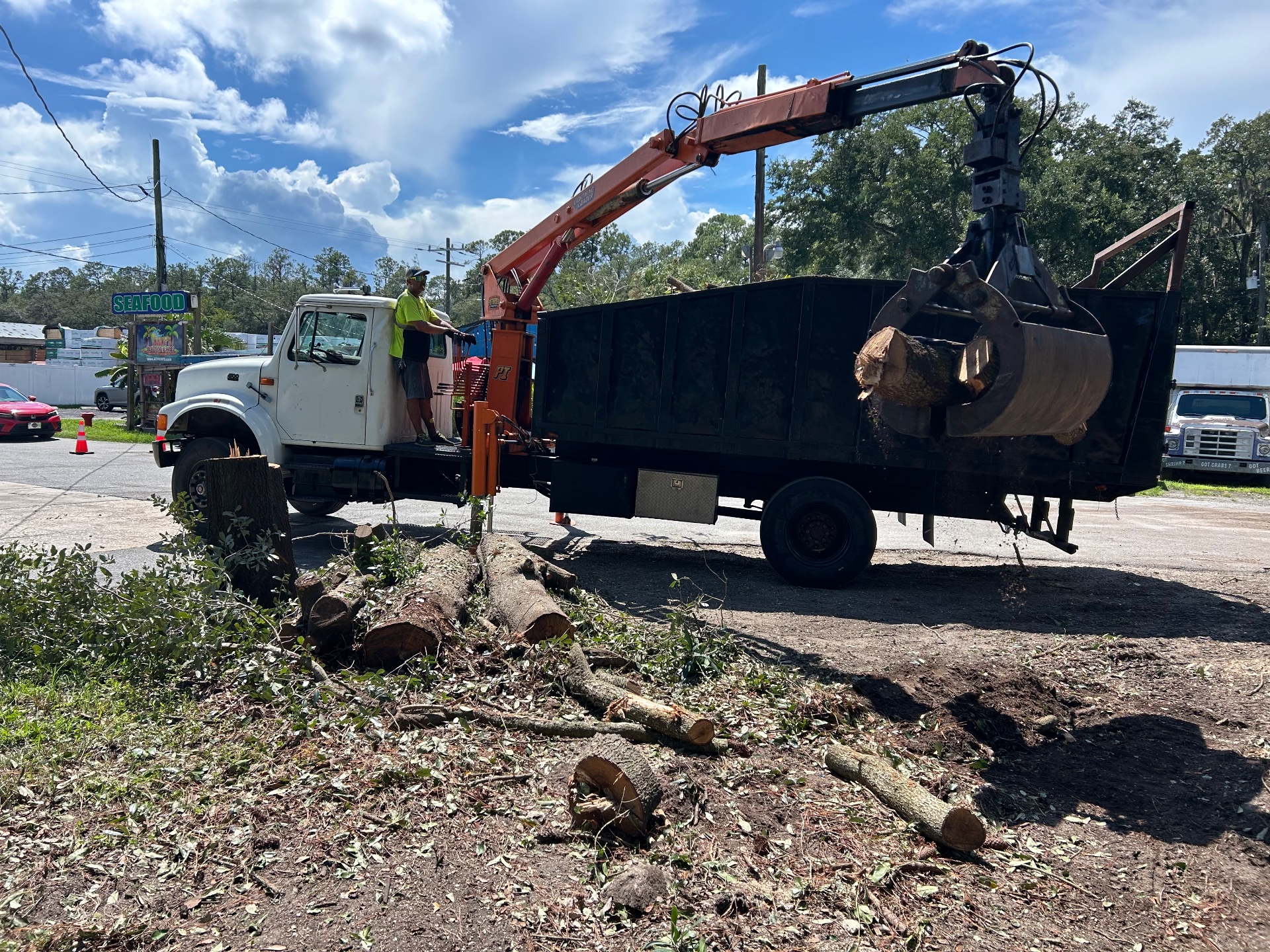 Tree Life 1 LLC, Tree Stump Grinding and Removal in Jacksonville, FL - photo 7