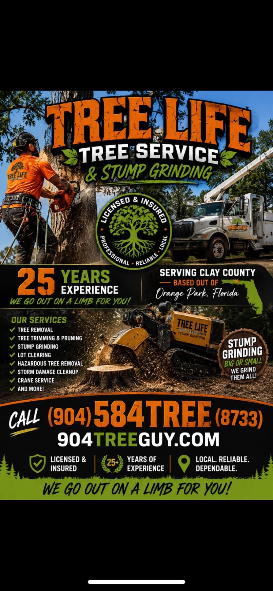 Tree Life 1 LLC, Tree Stump Grinding and Removal in Jacksonville, FL - photo 8
