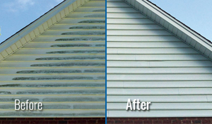 Advanced House Washing, Pressure Washing in Williamsburg, VA - photo 4