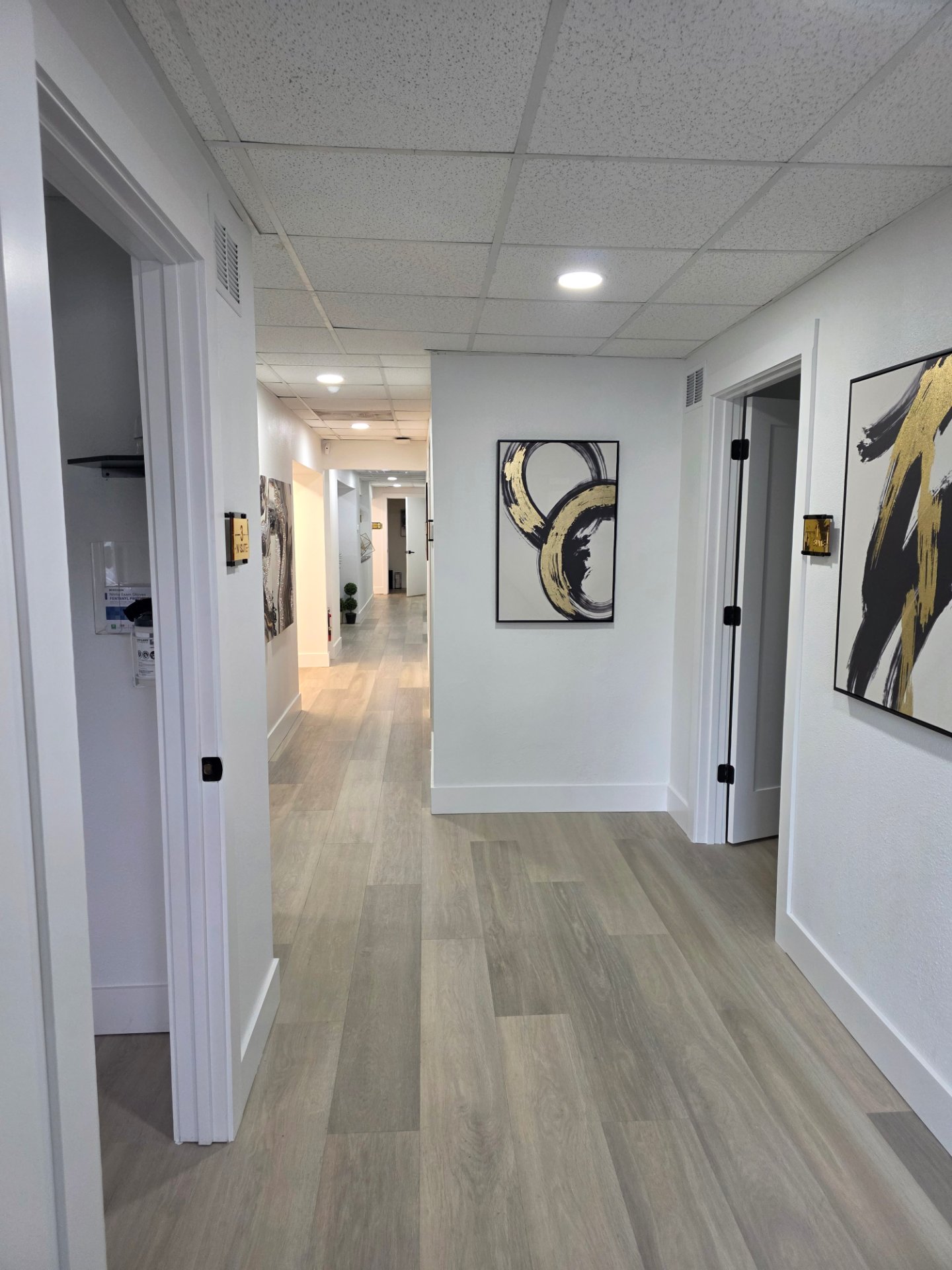 Elevated Health, Concierge Medicine in St. Petersburg, FL - photo 2