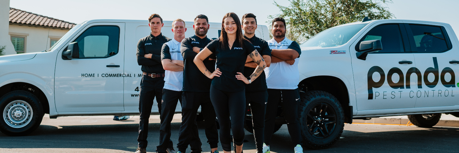 Panda Pest Control cover photo