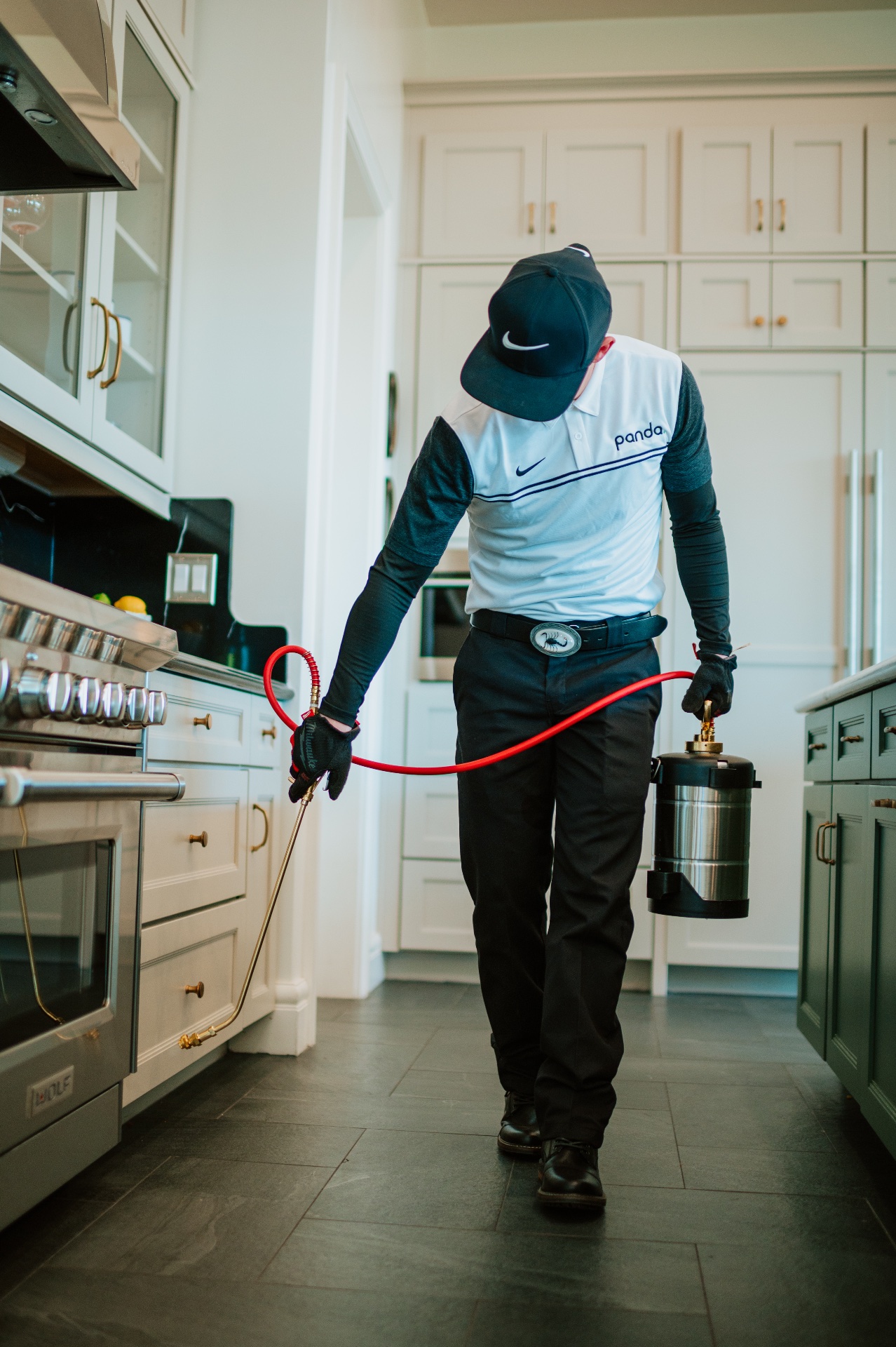 Panda Pest Control, Pest Control Services in Queen Creek, AZ - photo 1