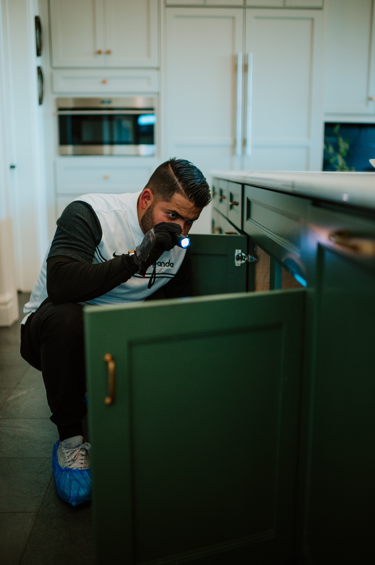 Panda Pest Control, Pest Control Services in Queen Creek, AZ - photo 2