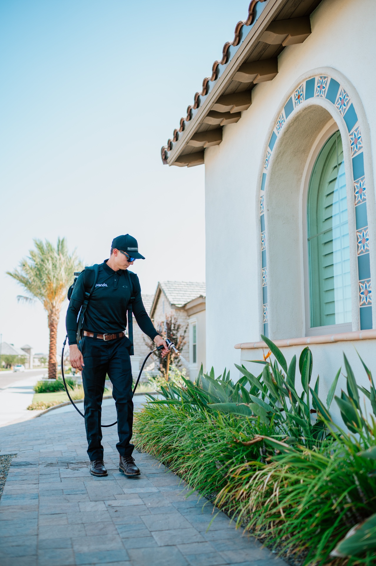 Panda Pest Control, Pest Control Services in Queen Creek, AZ - photo 7