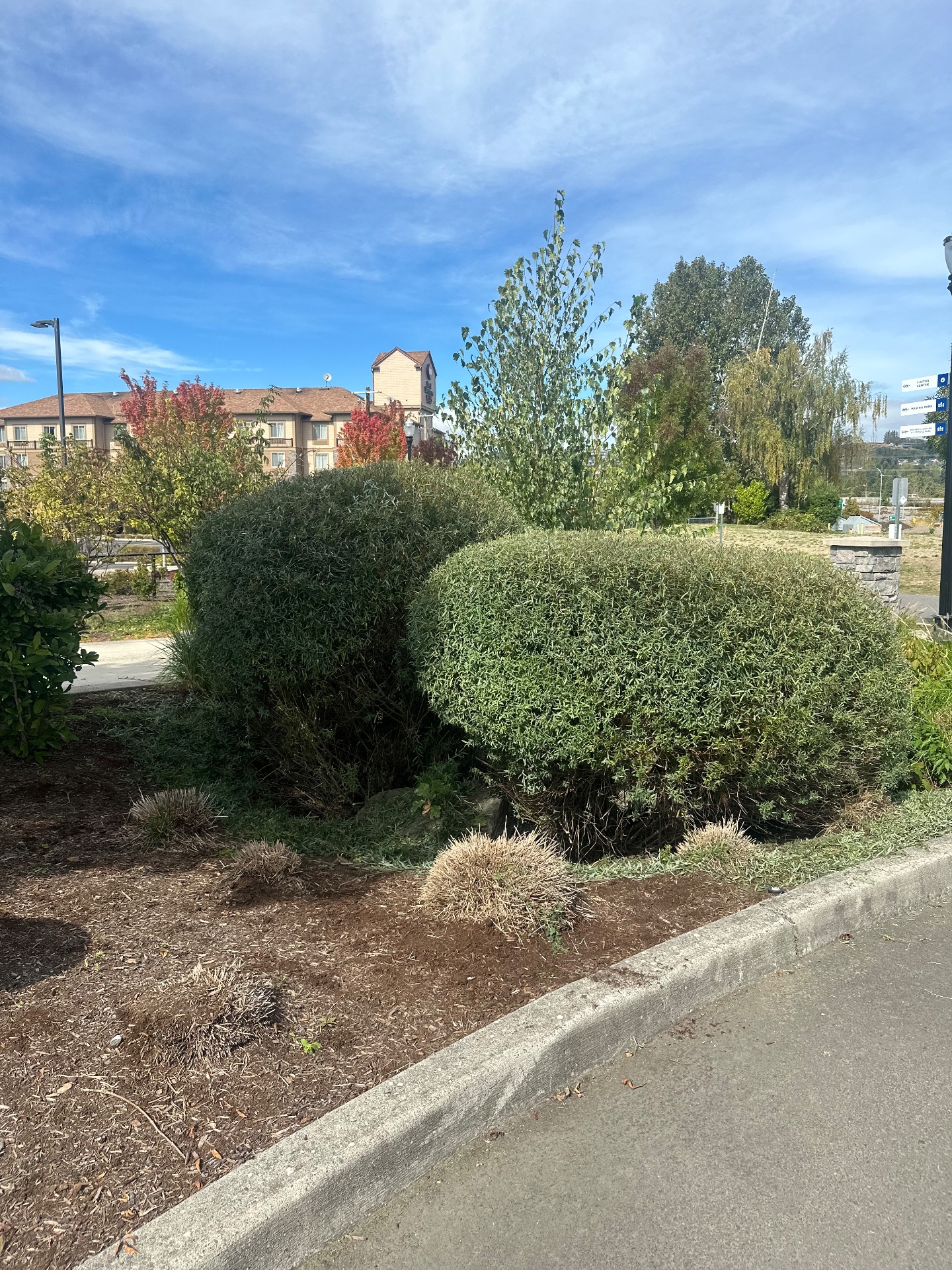 Doughboys lawn care, Full Service Lawn Care in Vancouver, WA - photo 1
