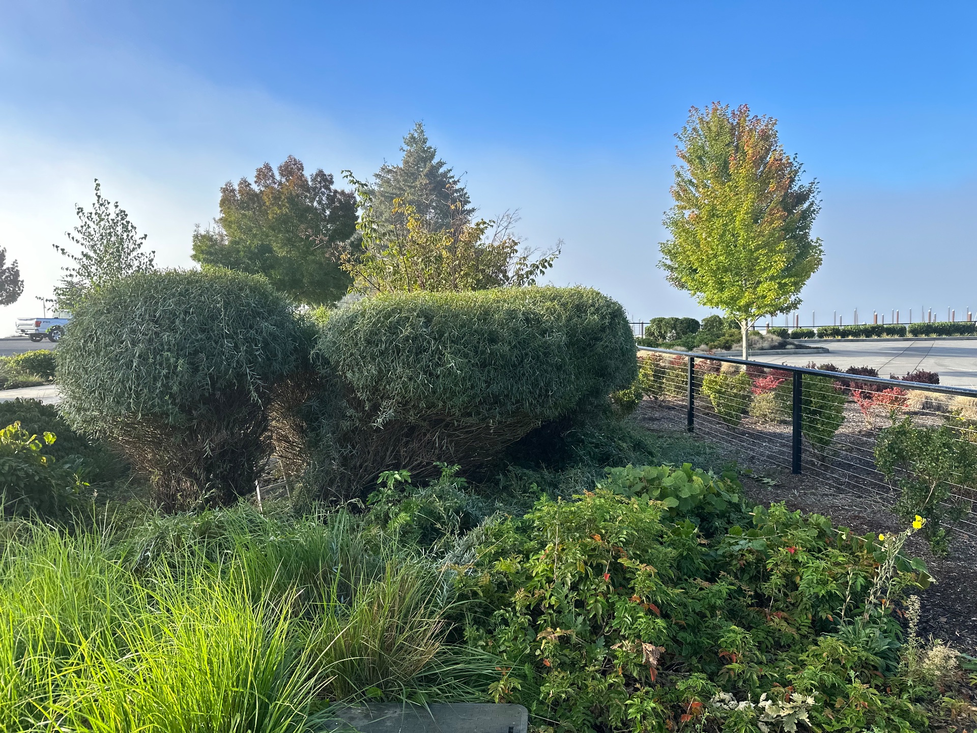 Doughboys lawn care, Full Service Lawn Care in Vancouver, WA - photo 2
