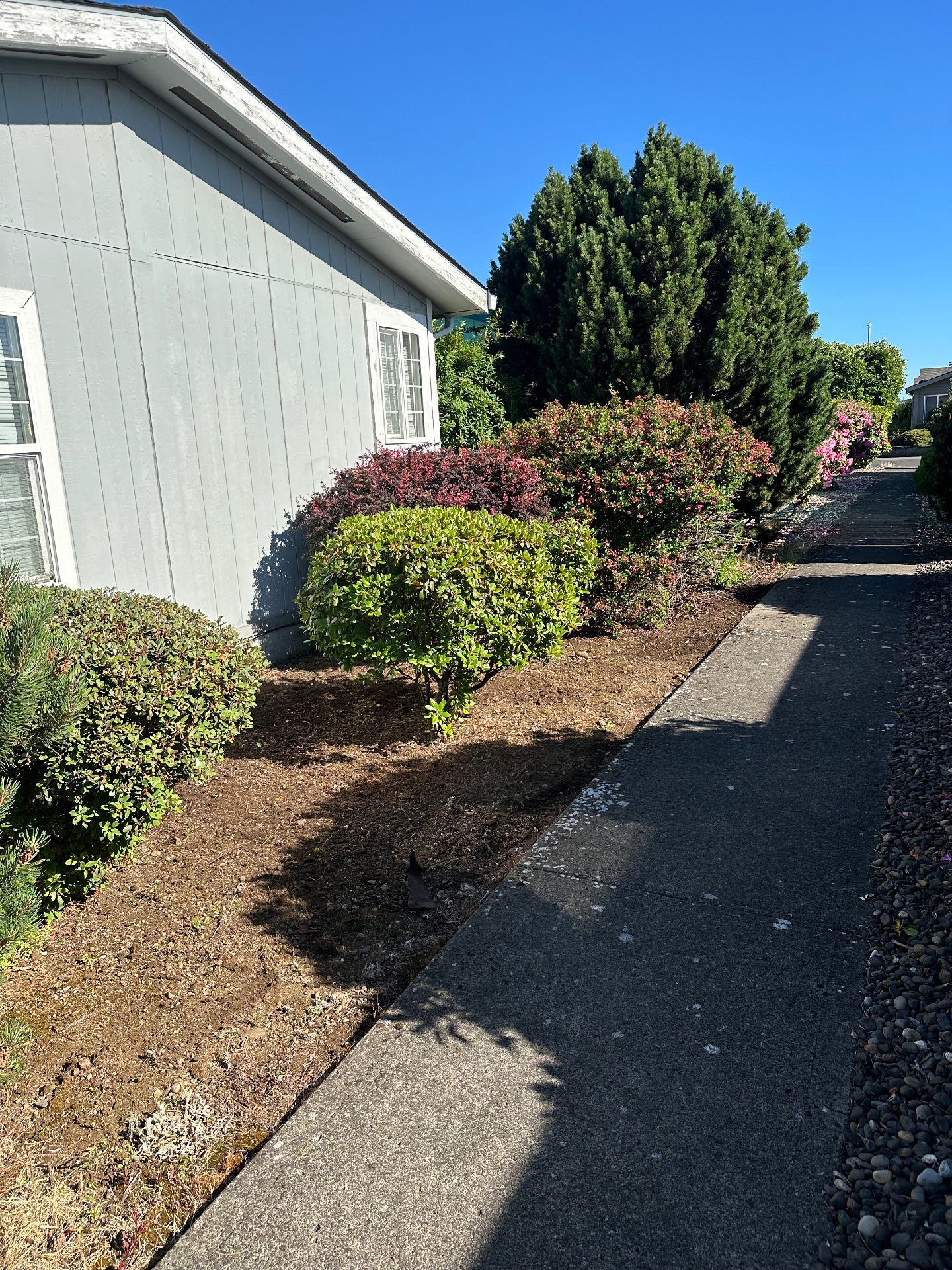 Doughboys lawn care, Full Service Lawn Care in Vancouver, WA - photo 3