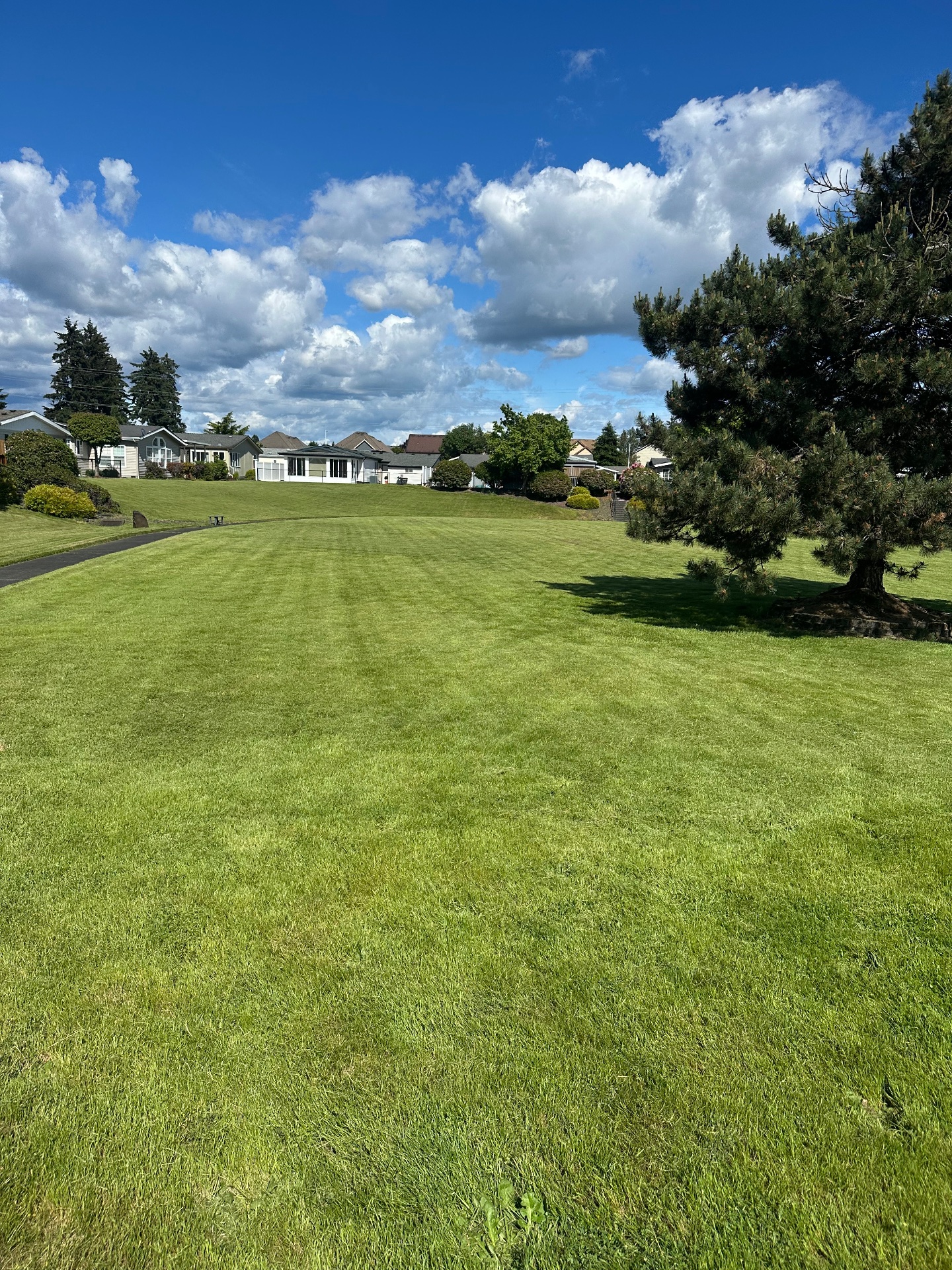 Doughboys lawn care, Full Service Lawn Care in Vancouver, WA - photo 4