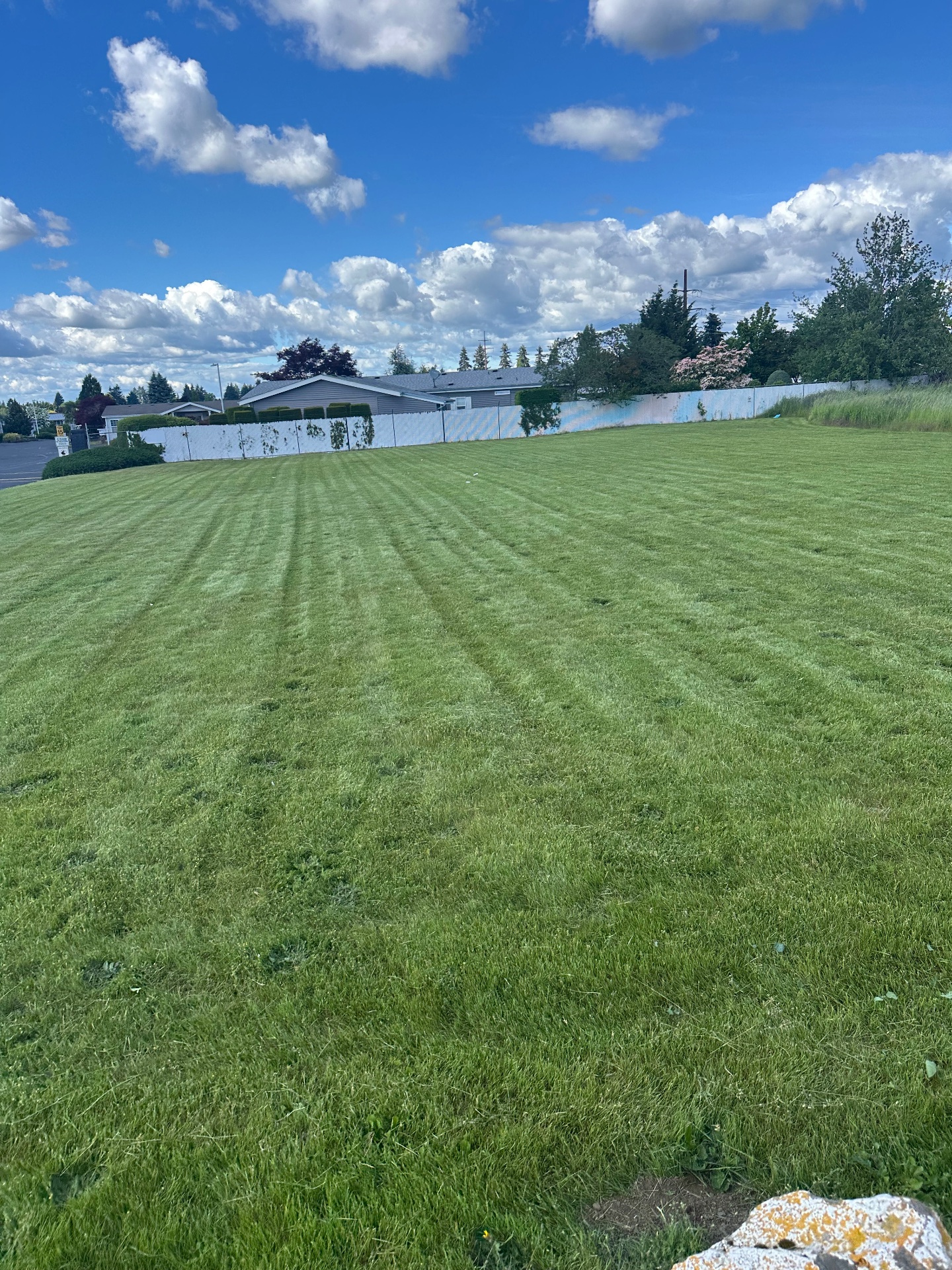 Doughboys lawn care, Full Service Lawn Care in Vancouver, WA - photo 5