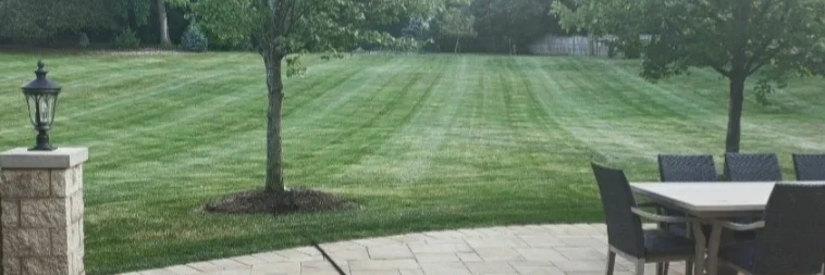 Fast Trak Lawns cover photo