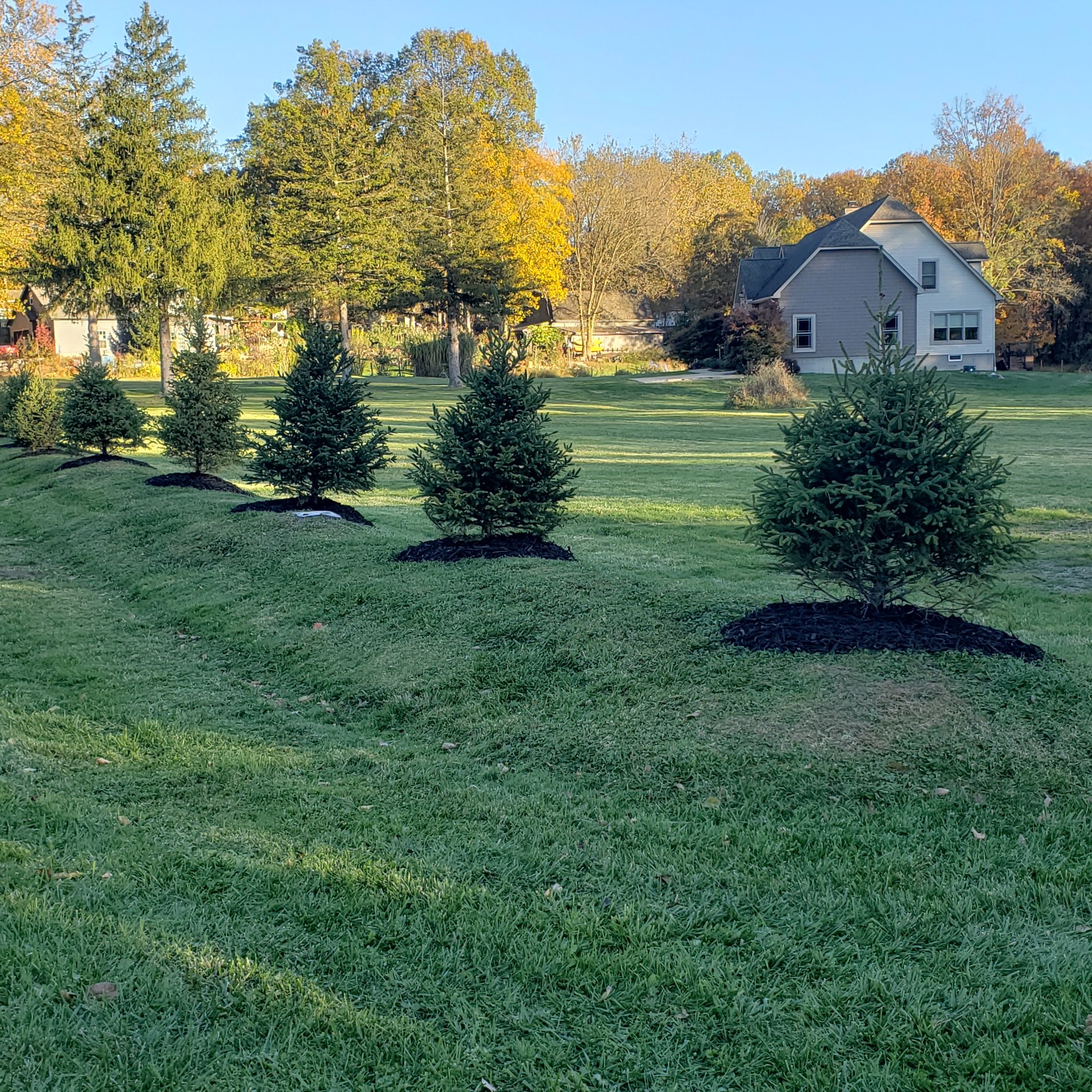 Fast Trak Lawns, Lawn Mowing and Trimming in Strongsville , OH - photo 3