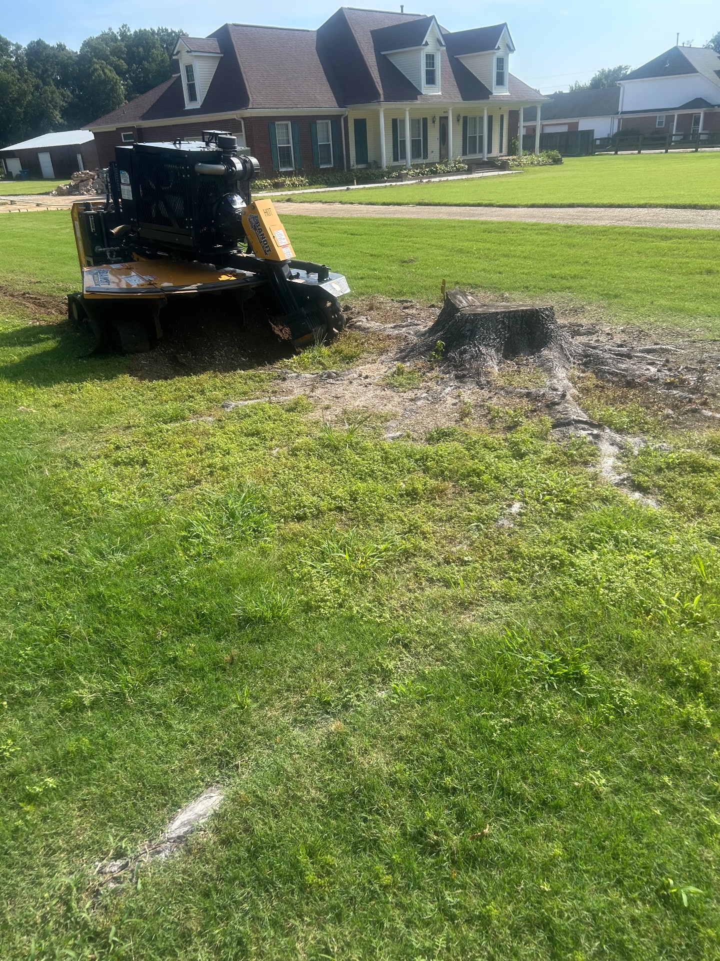 JLR Stump Grinding, Tree Stump Grinding and Removal in Piperton, TN - photo 1