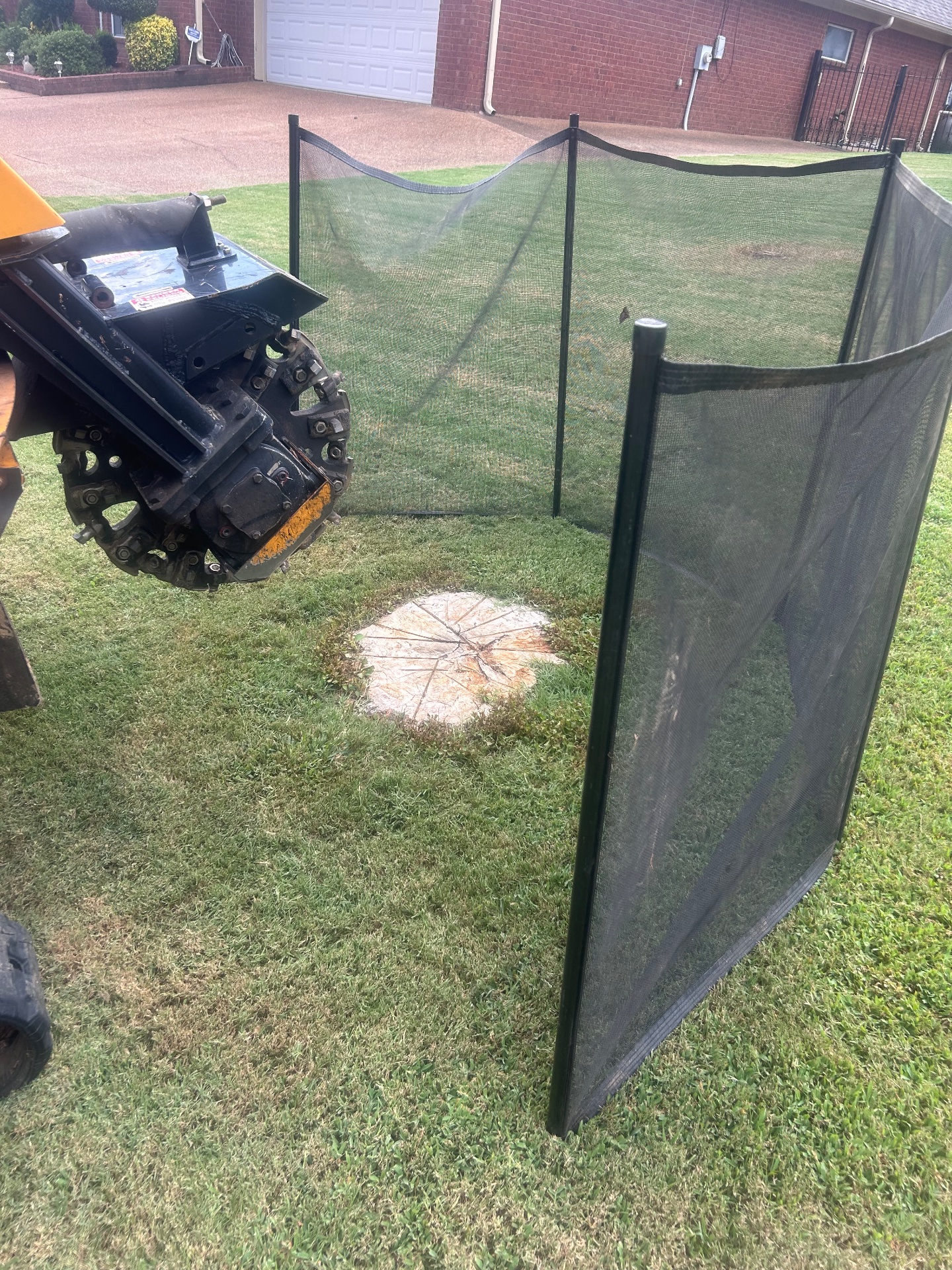 JLR Stump Grinding, Tree Stump Grinding and Removal in Piperton, TN - photo 2