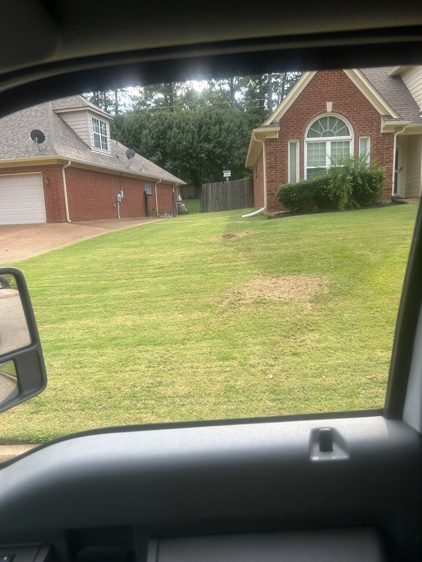 JLR Stump Grinding, Tree Stump Grinding and Removal in Piperton, TN - photo 3